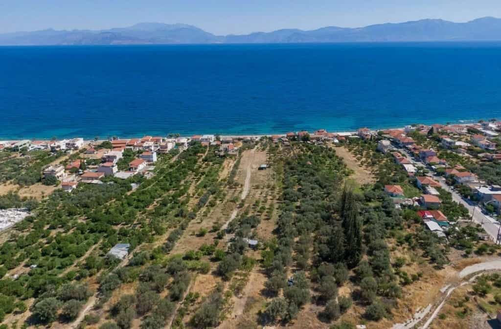 Tanah dalam Sykia, Peloponnisos 12646646