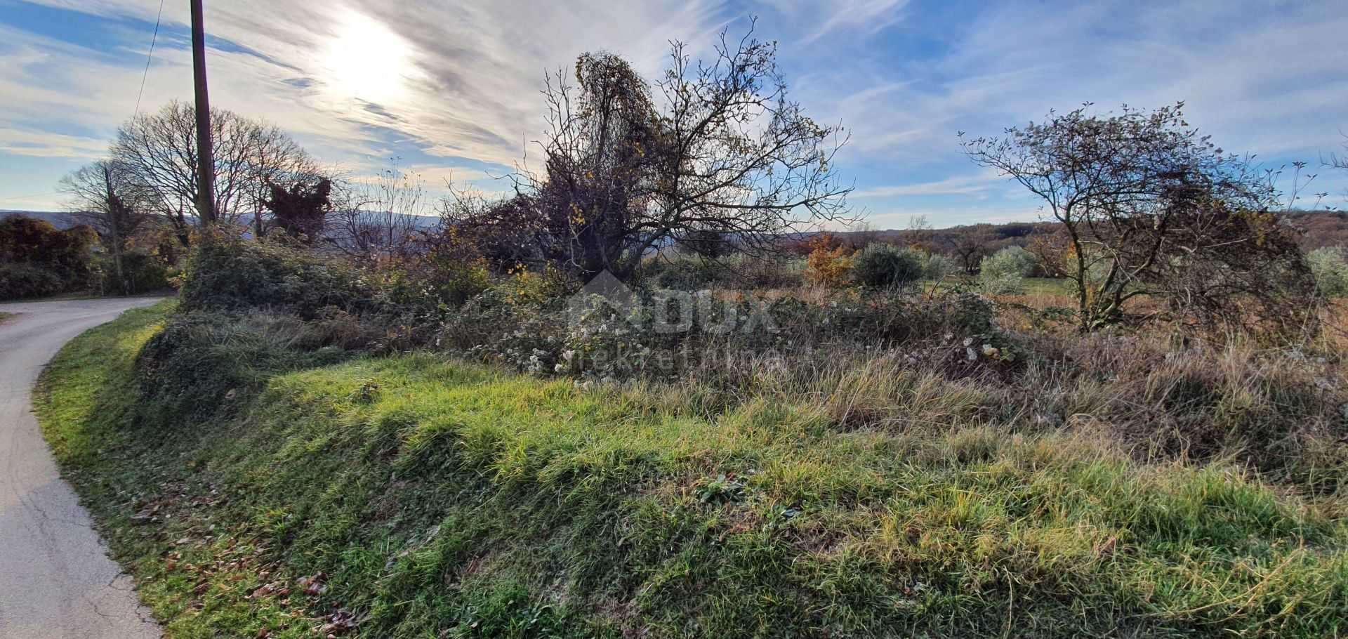 Terre dans Barban, Istria County 12646662