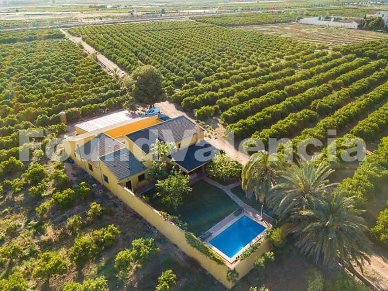 Hus i Torrent, Valencian Community 12647471