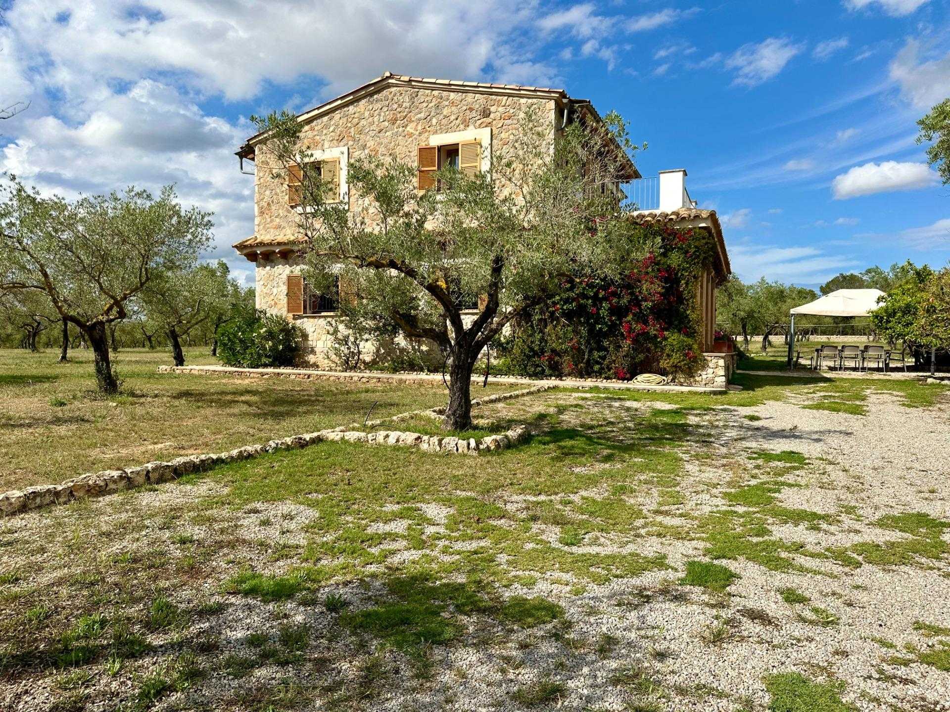 casa en Llubi, Balearic Islands 12651945