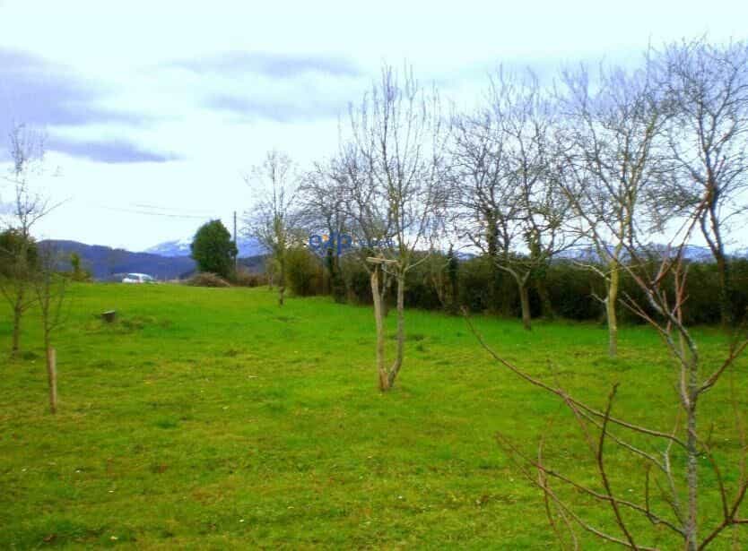 Land in Campiello, Asturias 12652014