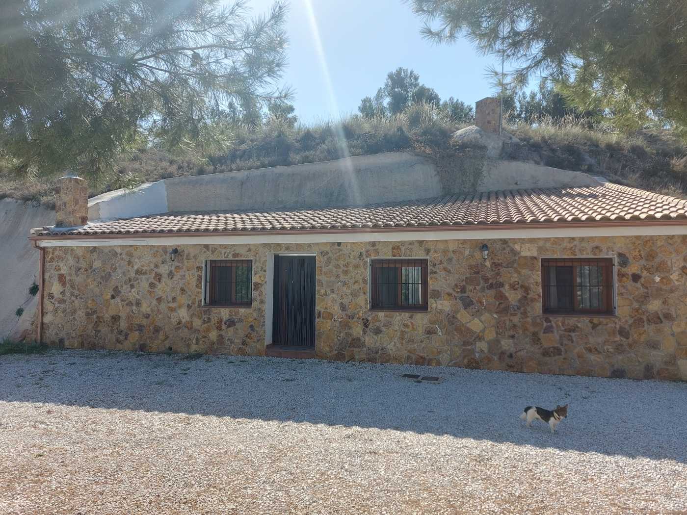 σπίτι σε Cuevas del Campo, Andalusia 12663729