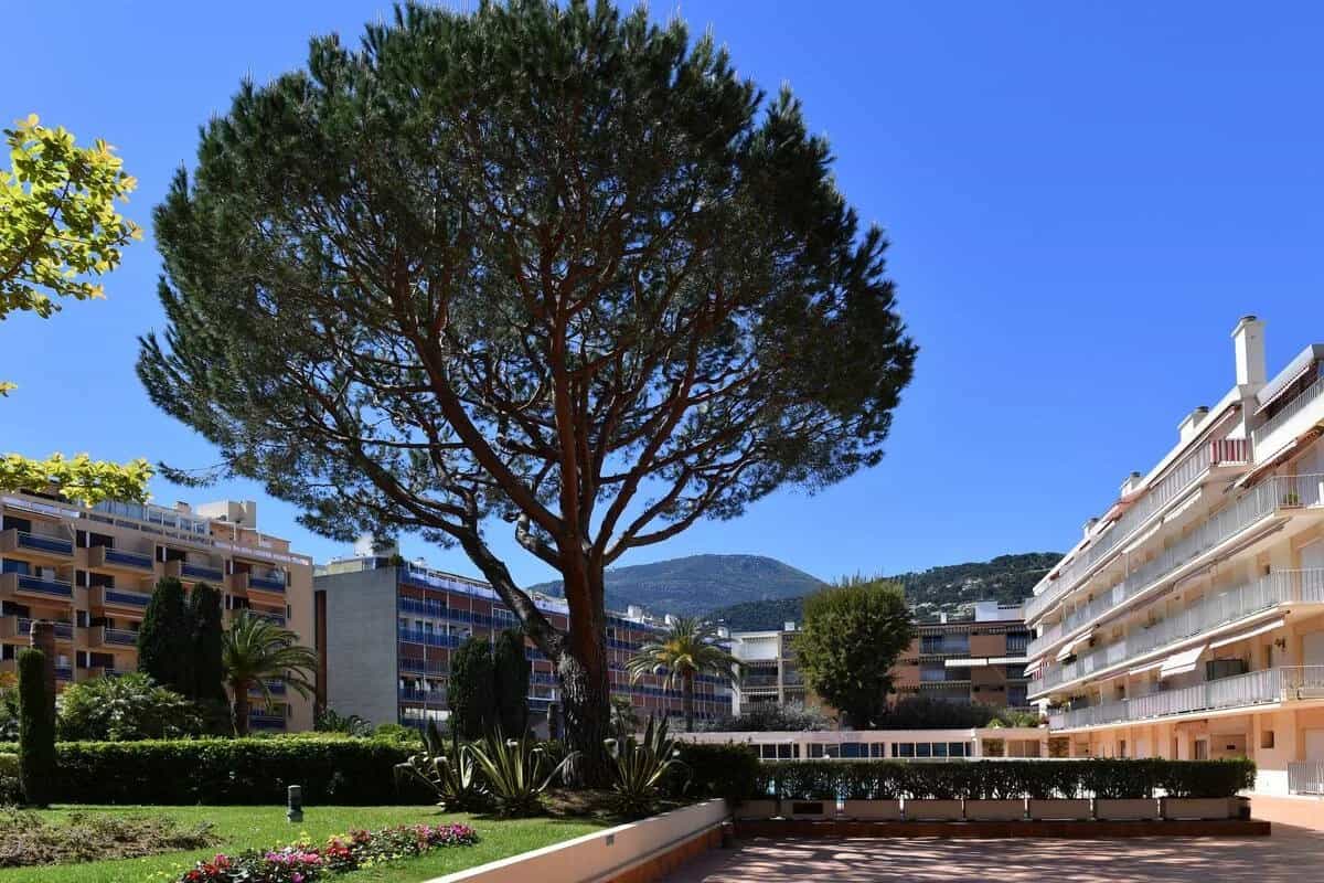 Condominium dans Roquebrune-Cap-Martin, Alpes-Maritimes 12665614