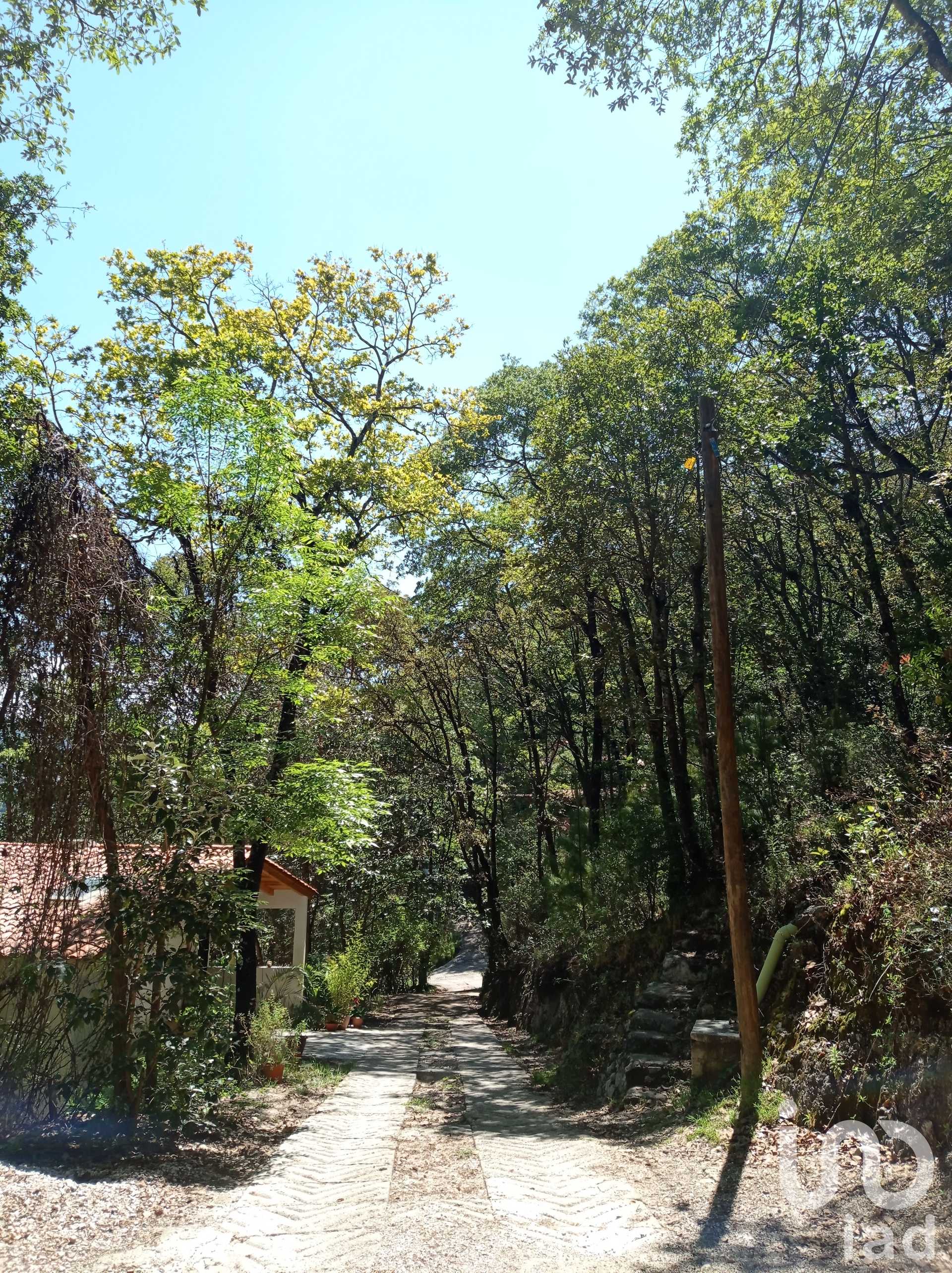 الأرض في San Cristobal, Chiapas 12675826