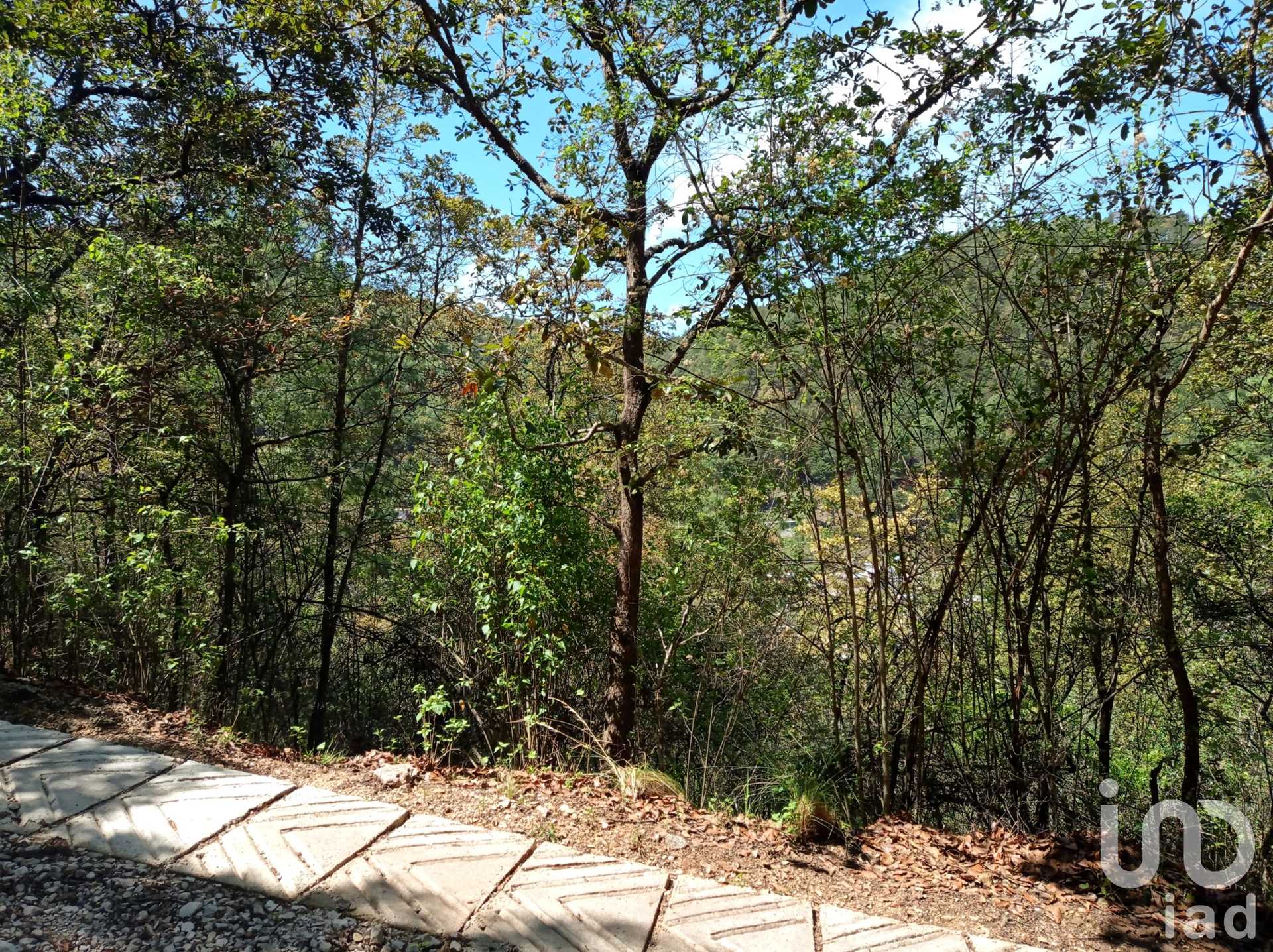 الأرض في San Cristóbal de las Casas, Chiapas 12675876