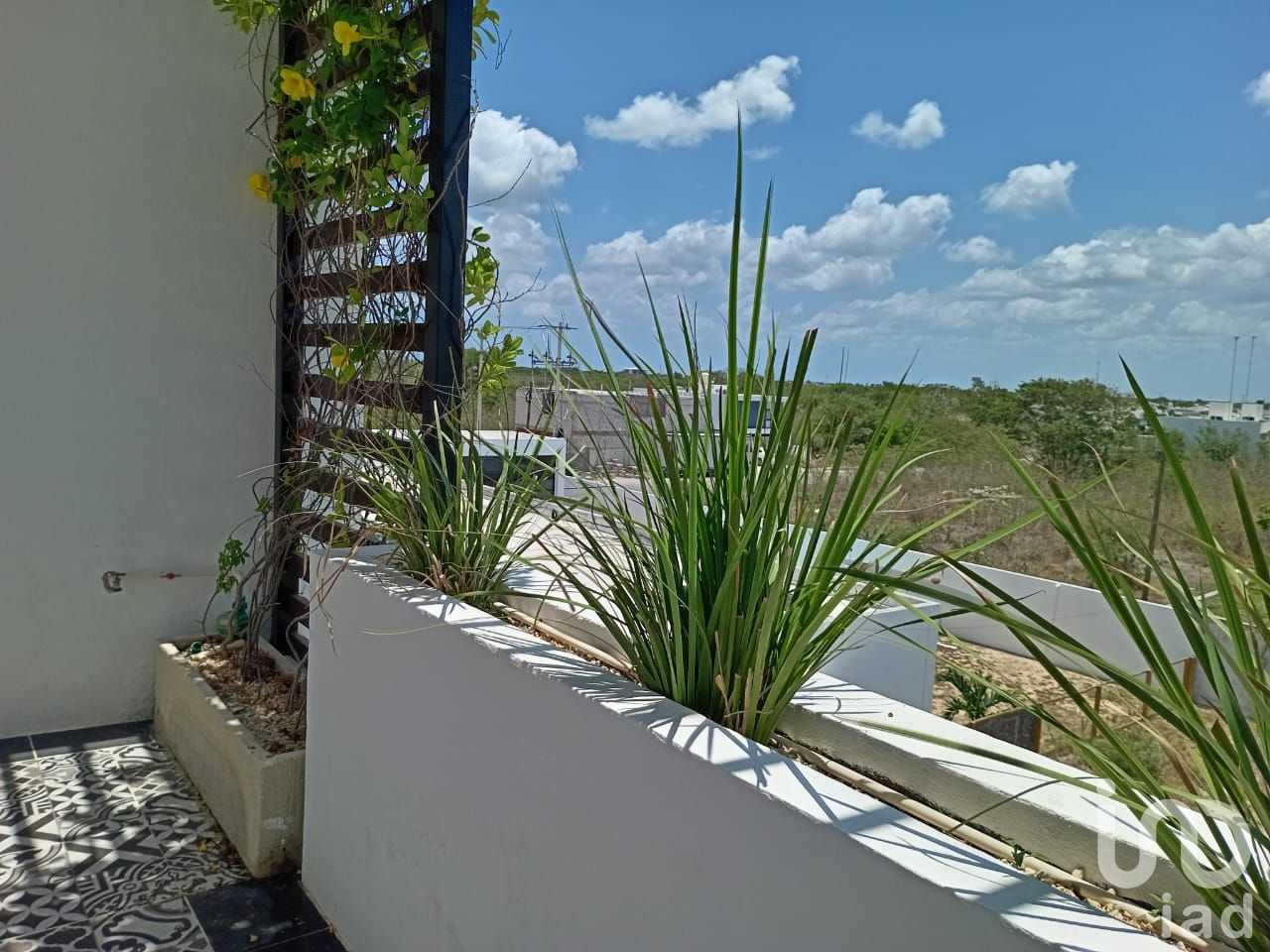 Ejerlejlighed i Caucel, Yucatan 12676446