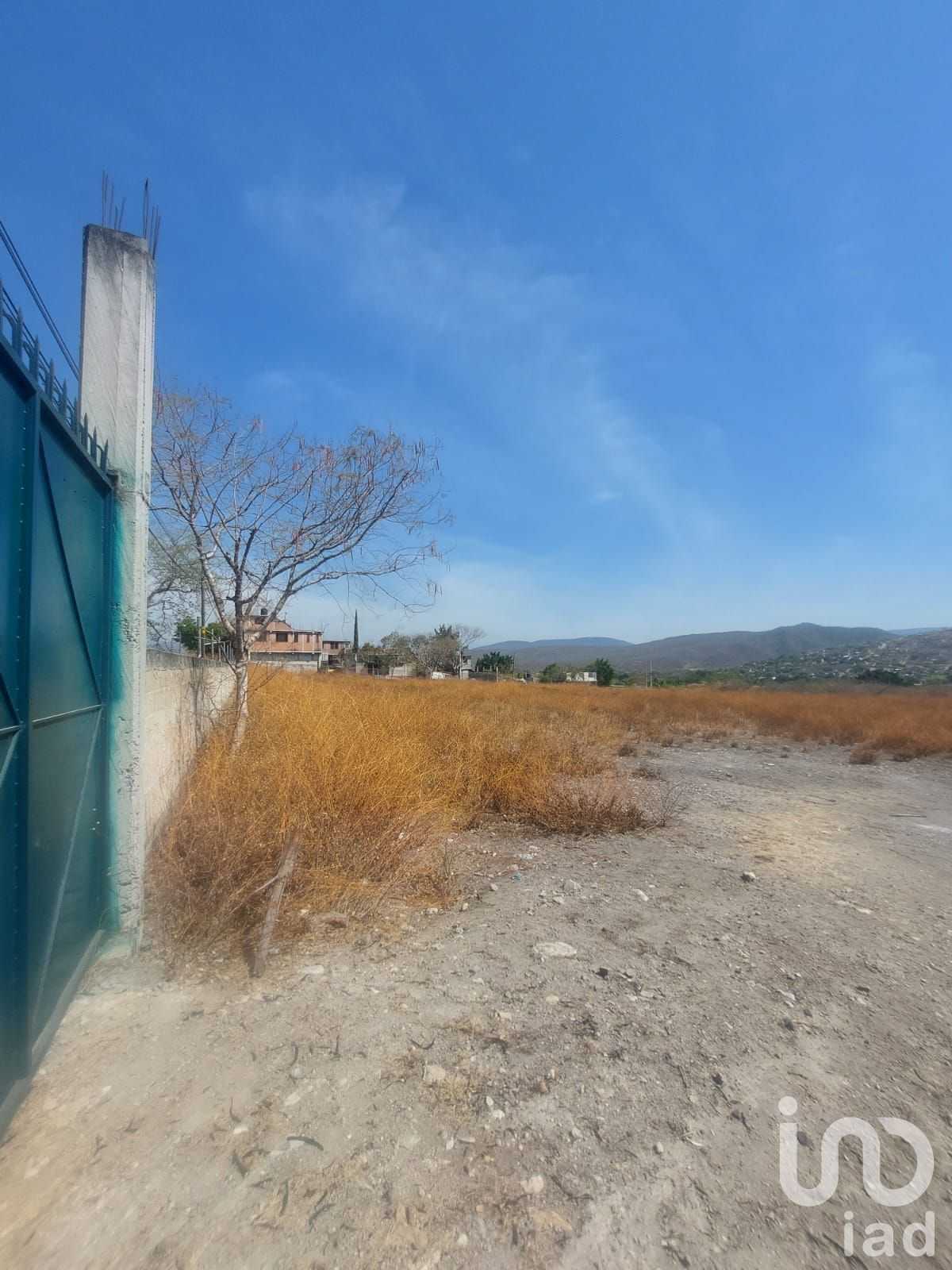 Land in Ticuman, Morelos 12677000