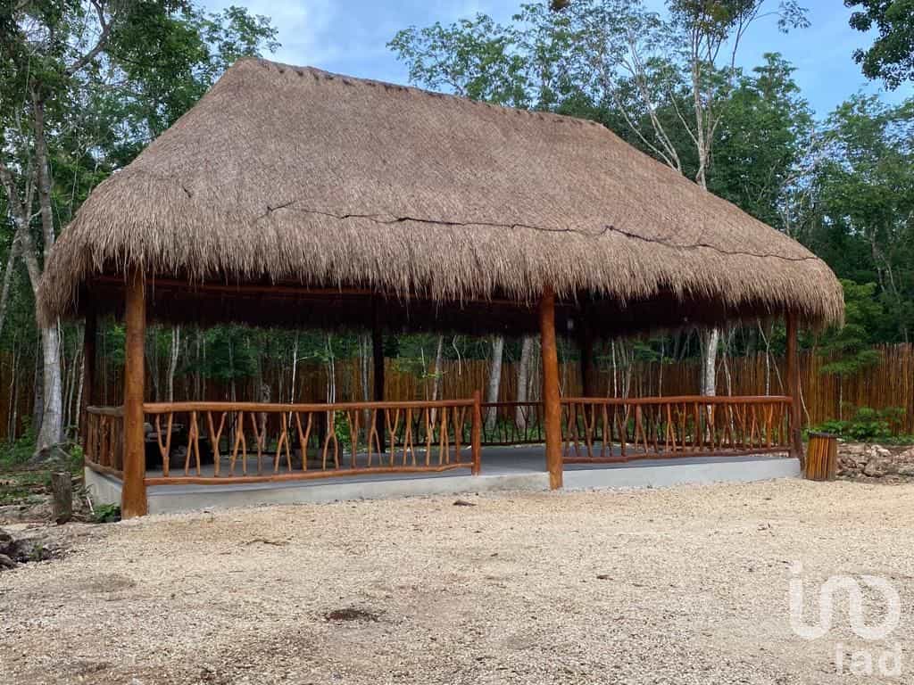 Land in Leona Vicario, Quintana Roo 12677204