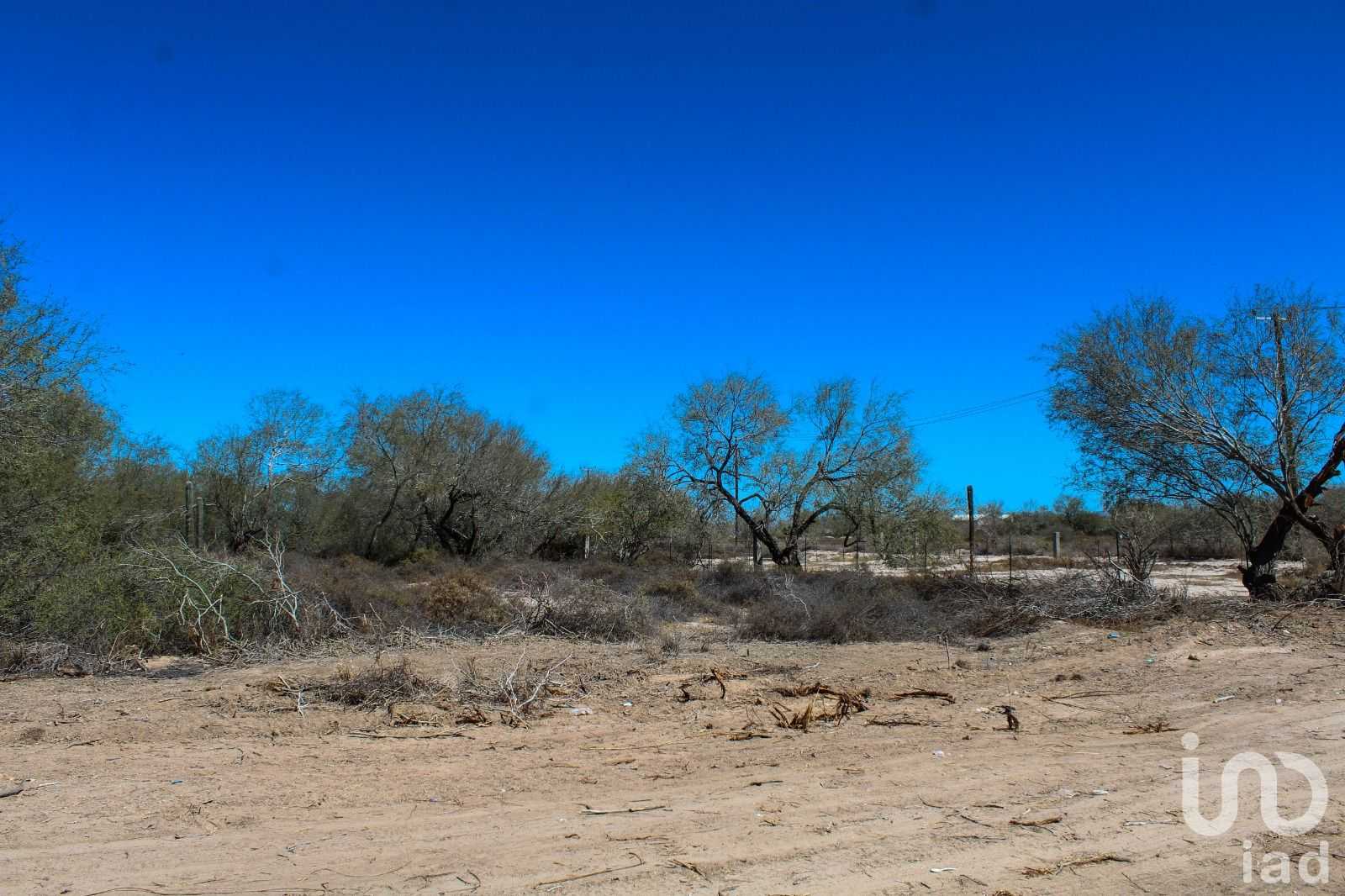 Tanah dalam El Centenario, Baja California Sur 12677232