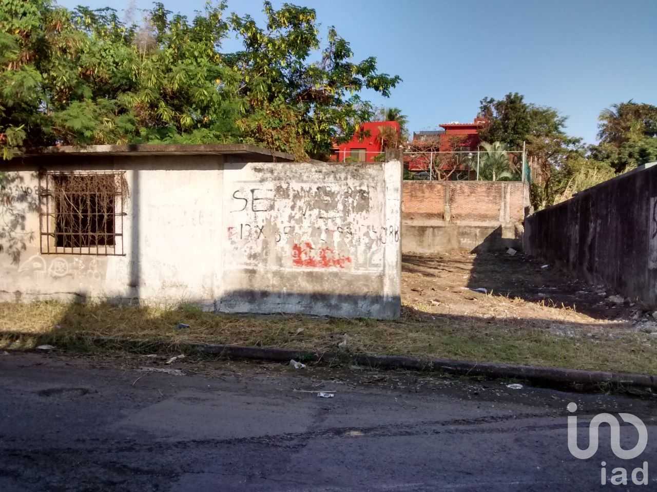 Terra no Veracruz, Veracruz 12678171