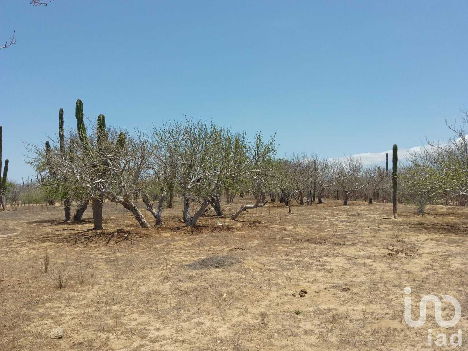 Land in San Pedro, Baja California Sur 12678266