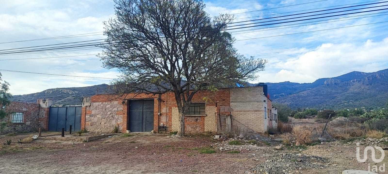 भूमि में San Juan Tilcuautla, हिडलगो 12678450