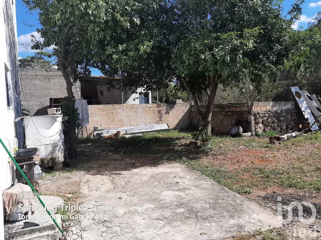 Dom w Mérida, Yucatán 12678846