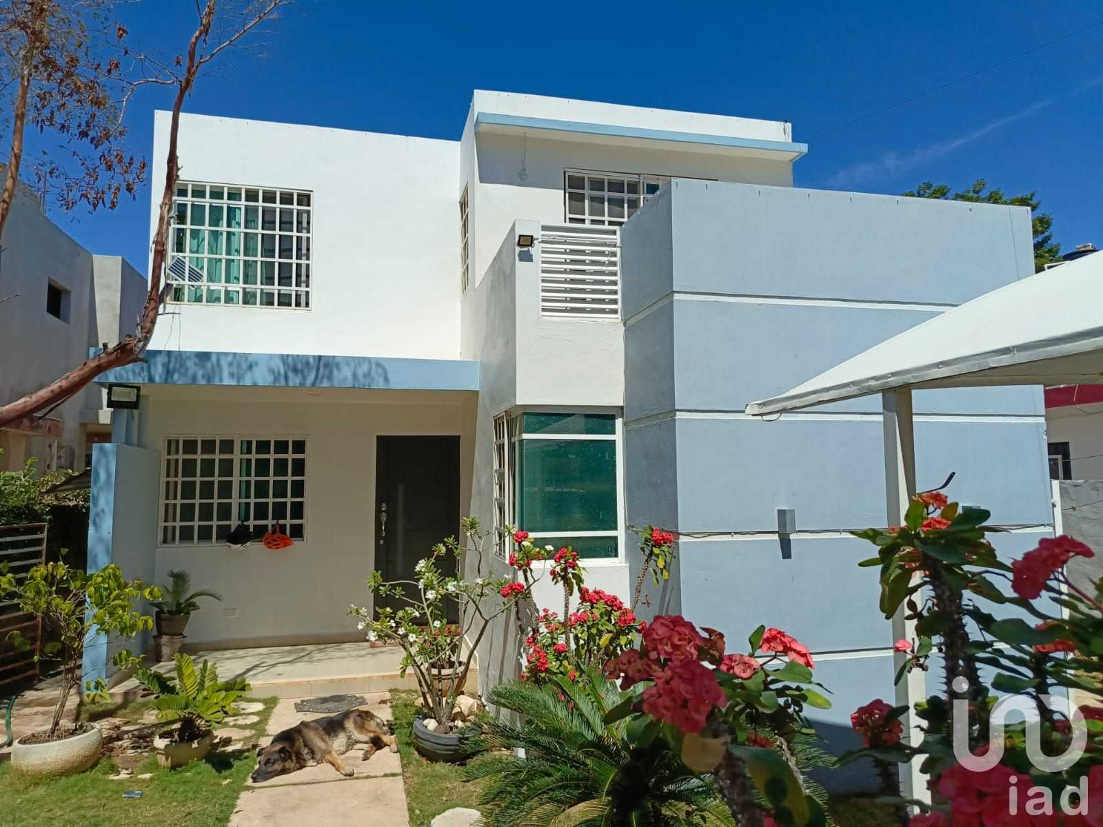 بيت في Mérida, Yucatán 12678851