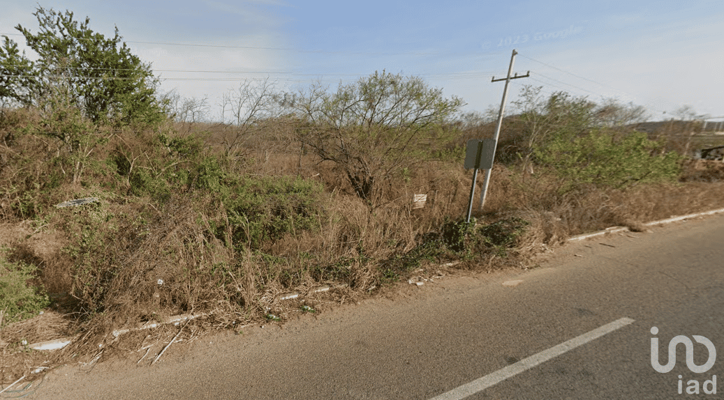 Land in El Venadillo, Sinaloa 12678883