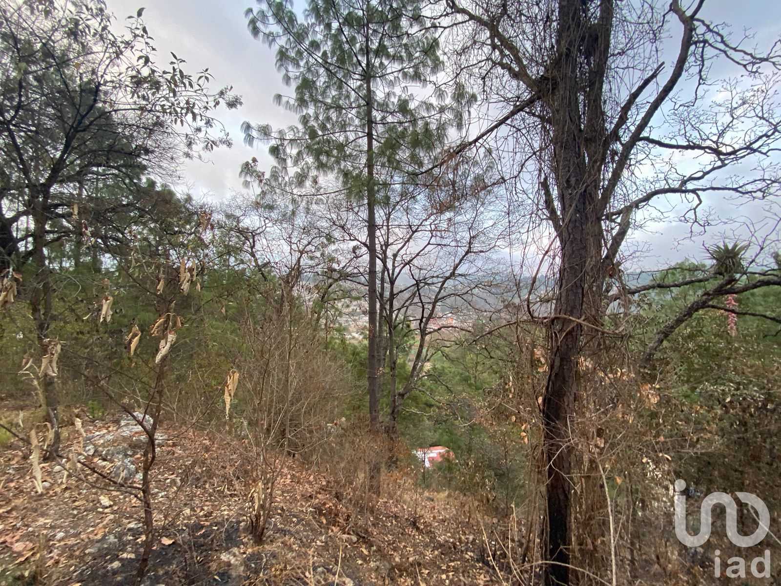 Γη σε San Cristóbal de las Casas, Chiapas 12679125