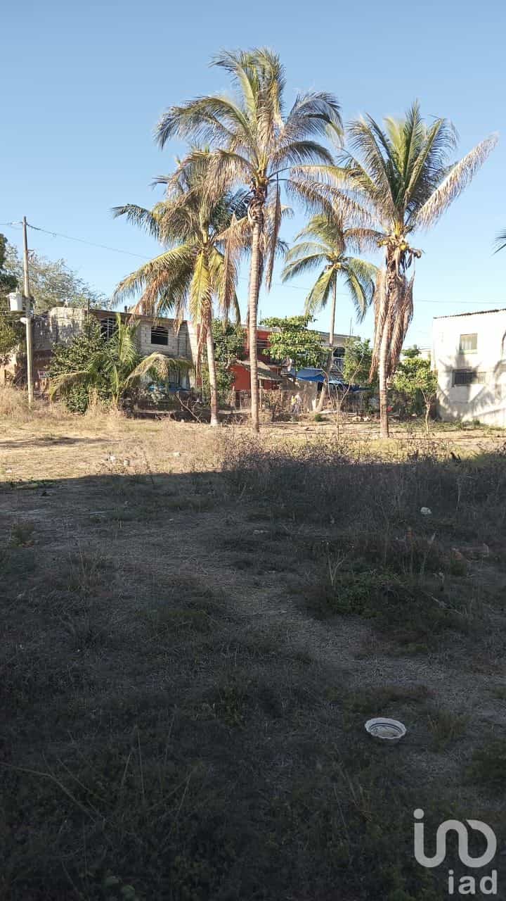 土地 在 Mezcales, Nayarit 12679196