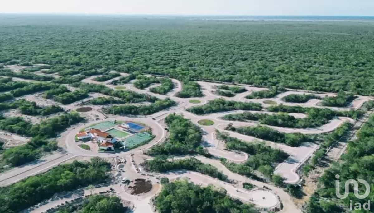Land in Xtuul, Yucatán 12679960