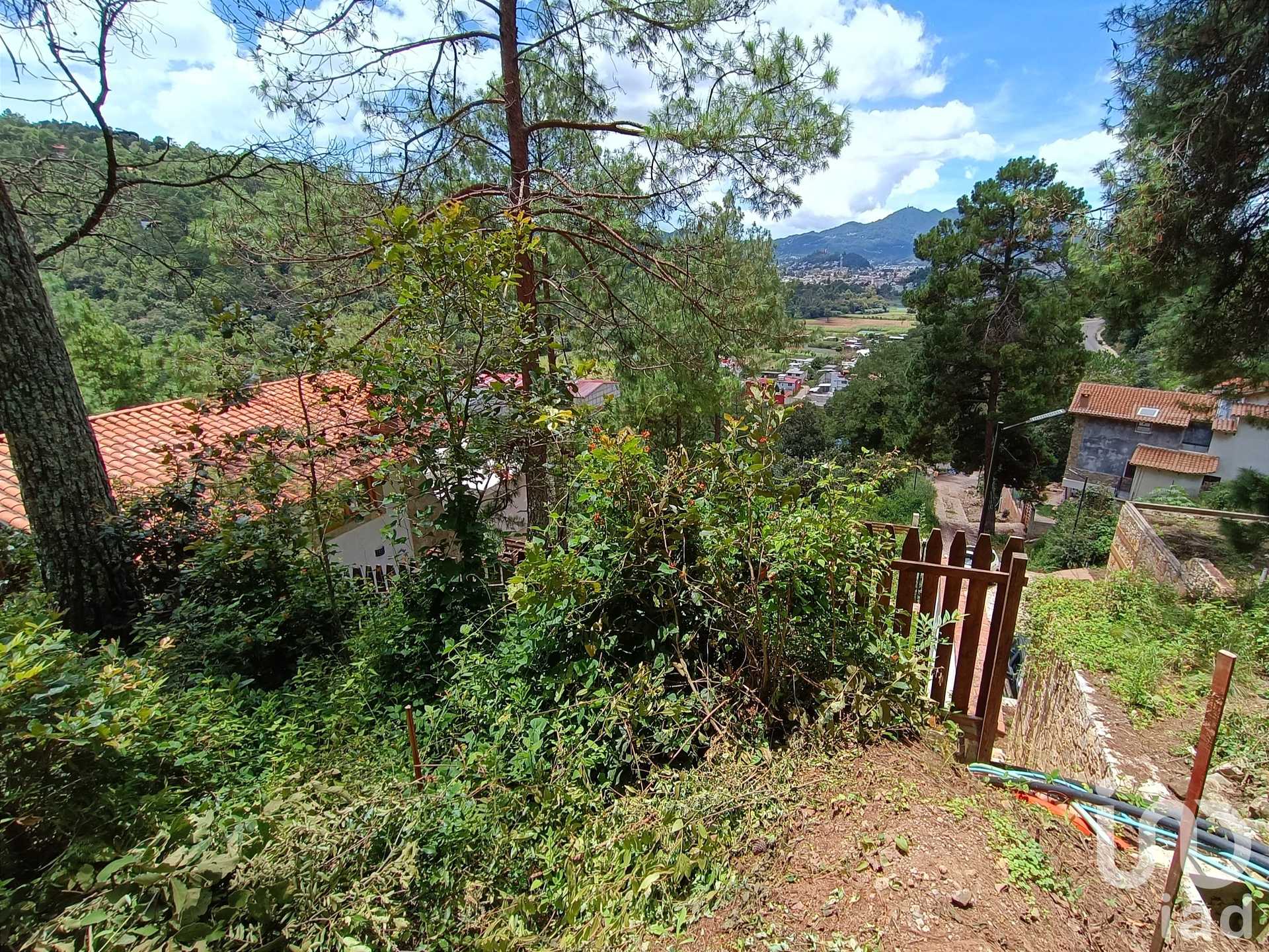 Maa sisään Maria Auxiliadora, Chiapas 12680007