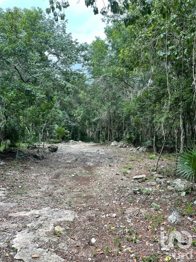 भूमि में Leona Vicario, Quintana Roo 12681066