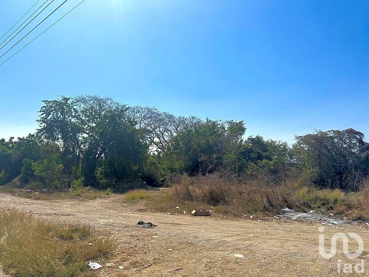 Terre dans El Venadillo, Sinaloa 12681328