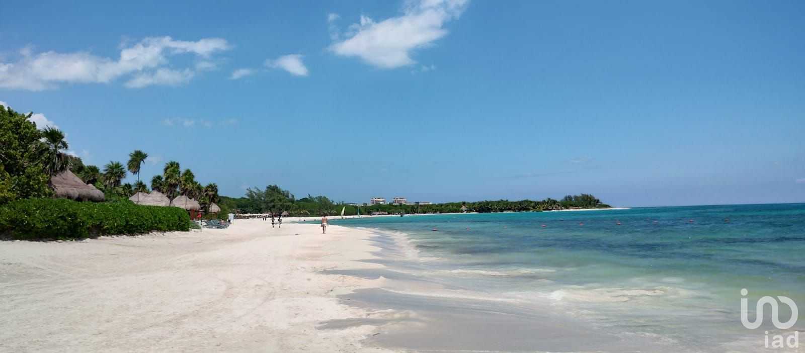 Γη σε Playa del Carmen, Quintana Roo 12682860