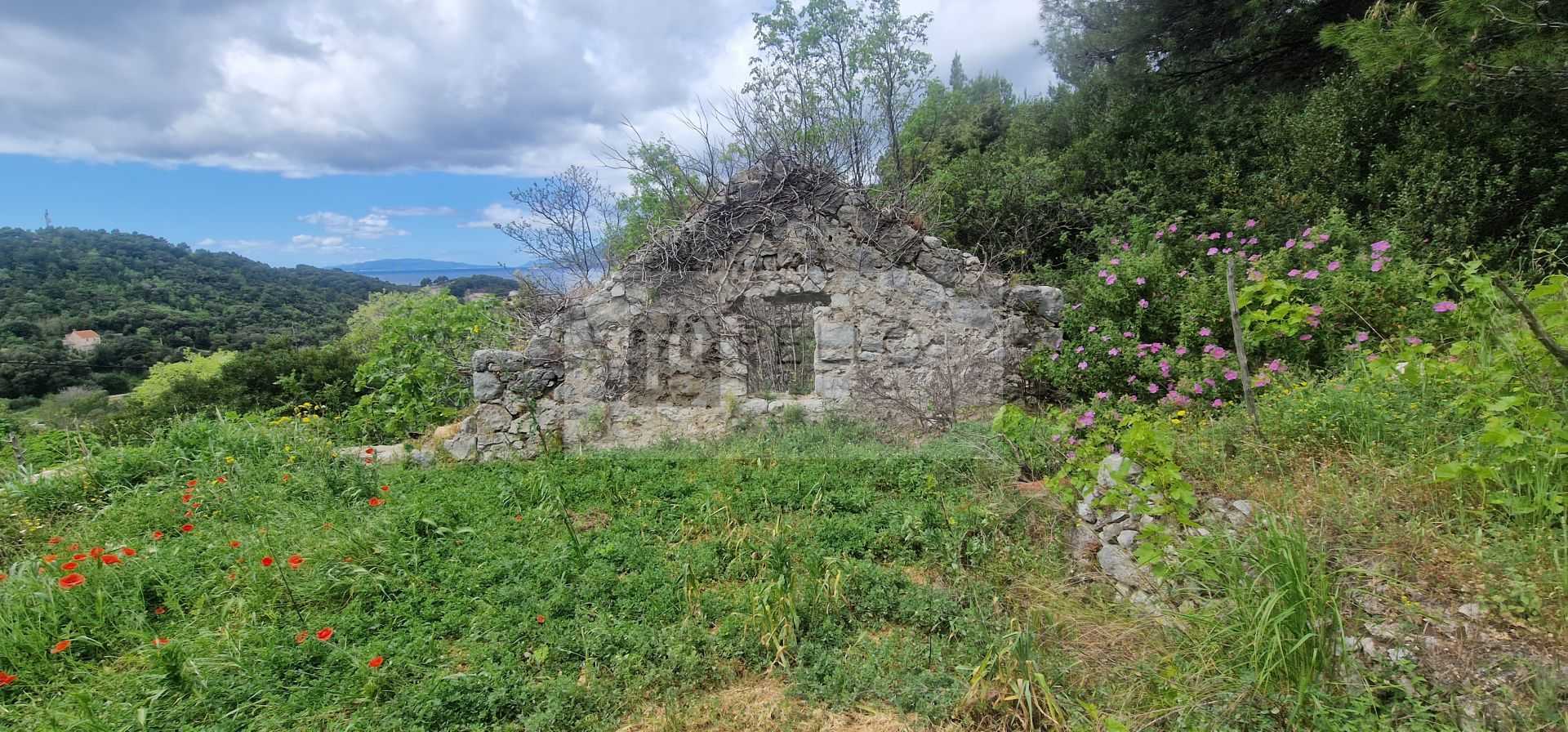 Hus i Janjina, Dubrovacko-Neretvanska Zupanija 12685417