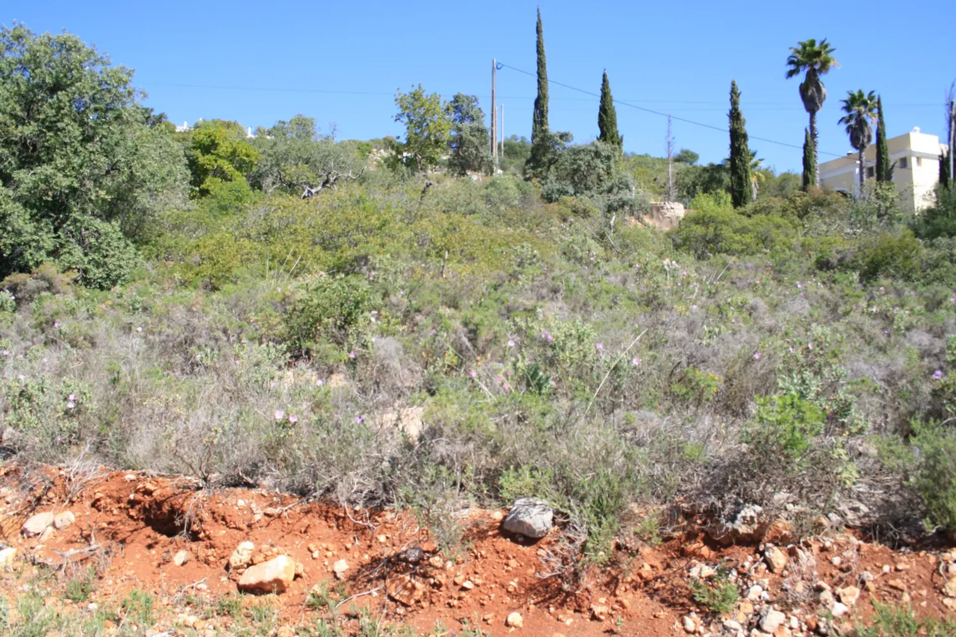 집 에 Santa Bárbara de Nexe, Faro 10004091