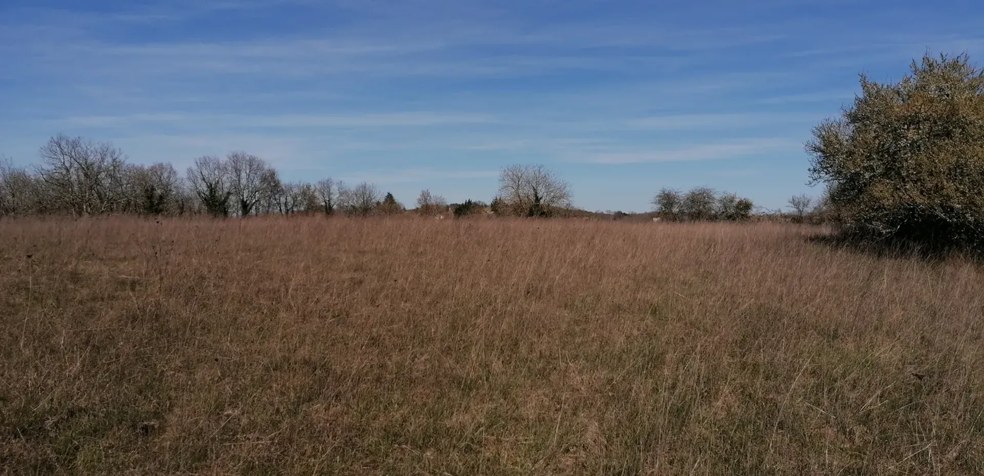 loger dans Saint-Félix-de-Villadeix, Nouvelle-Aquitaine 10004100