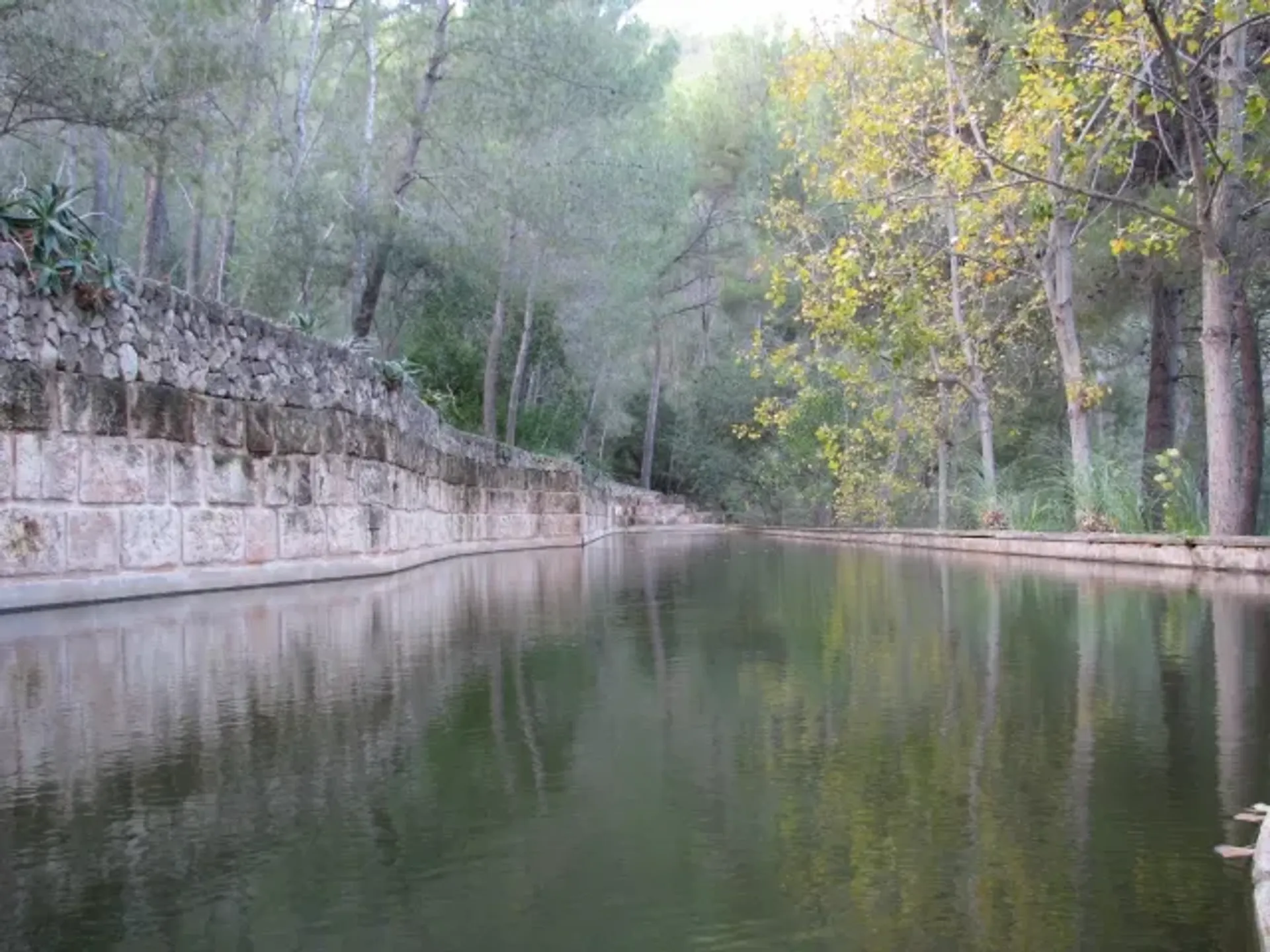 Sprzedaż detaliczna w Palma, Balearic Islands 10004148