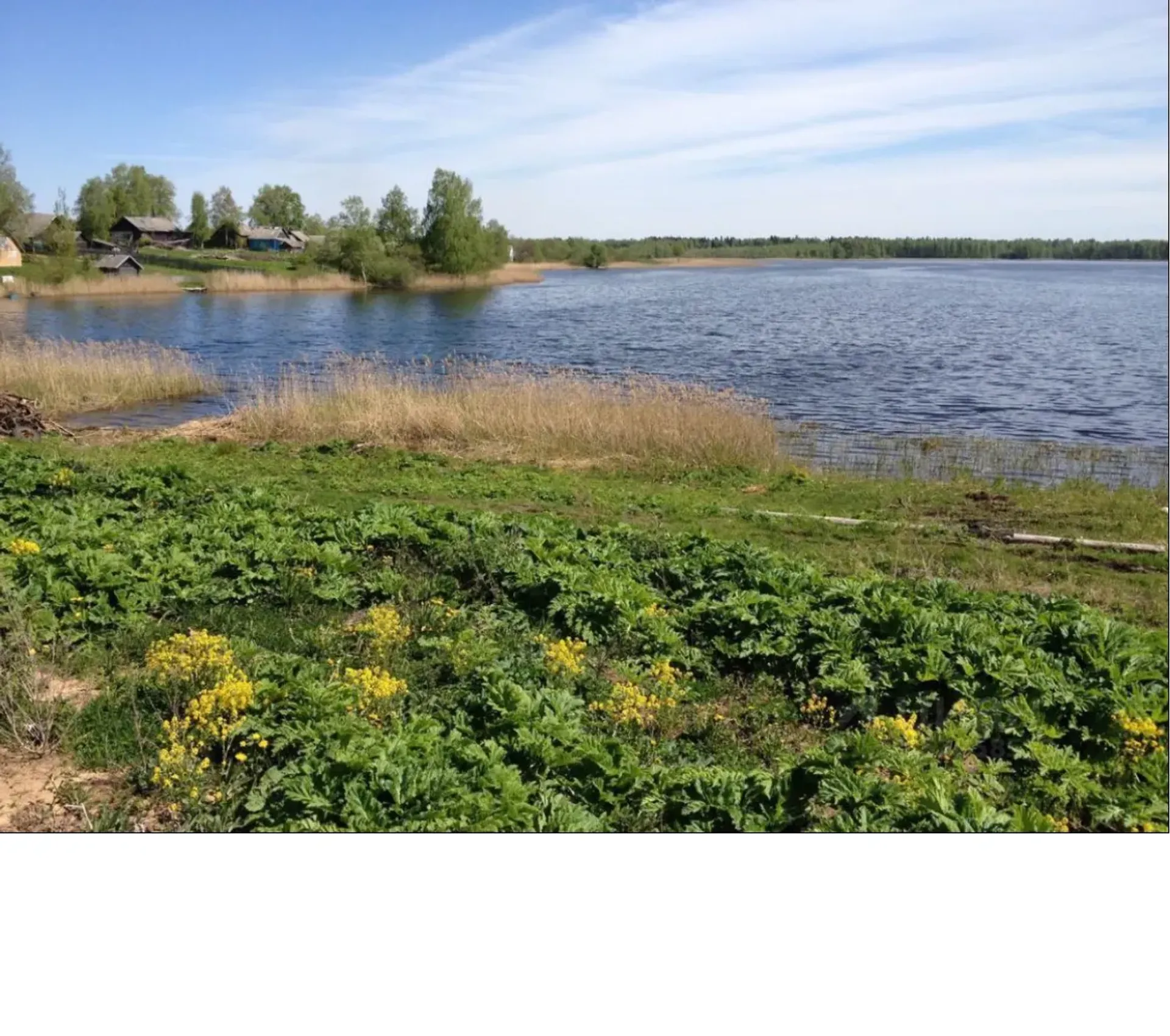 Mehrere Häuser im Borozda, Tverskaya Oblast' 10004186