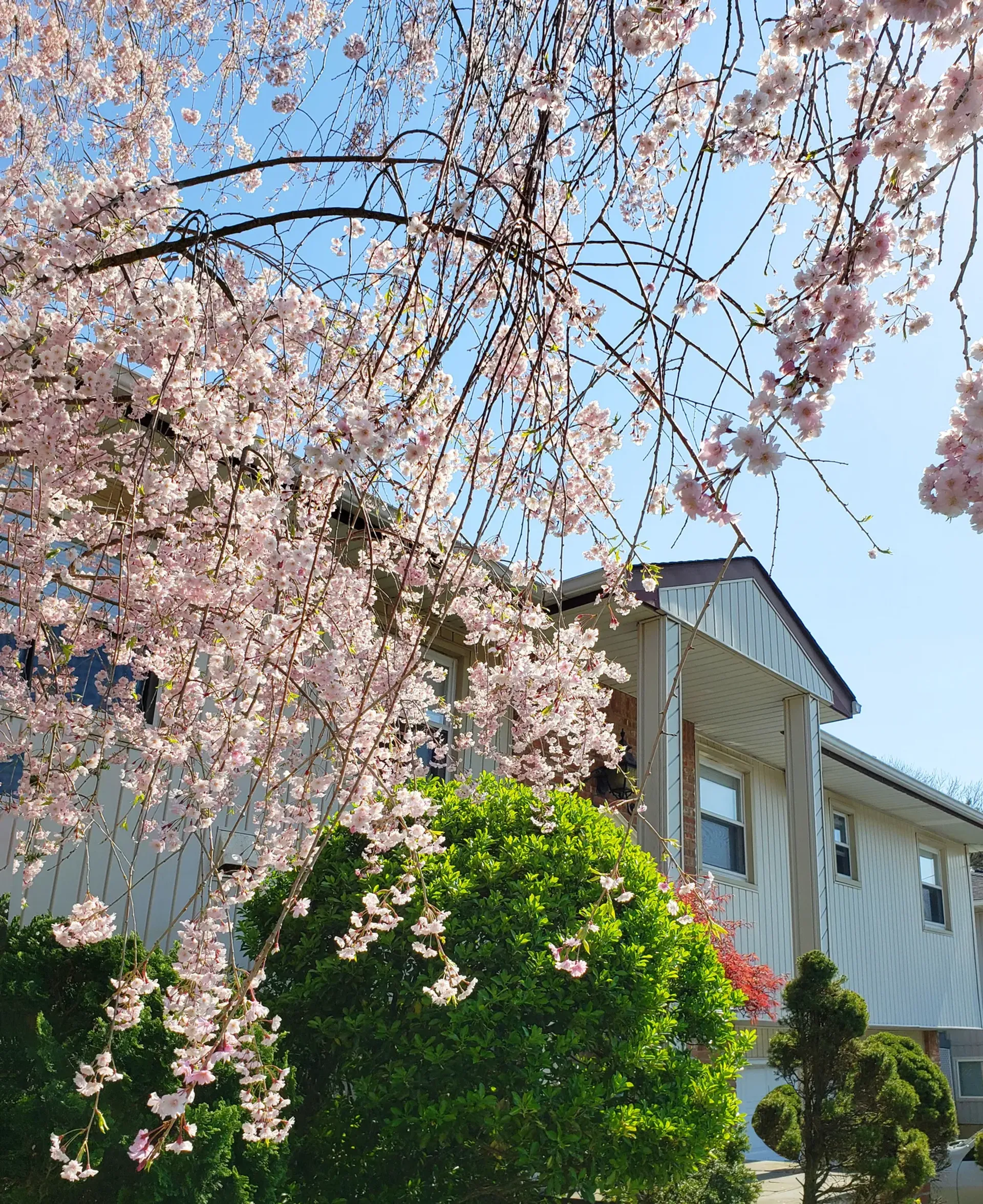 House in Oyster Bay, 20 Russell Park Road 10004195