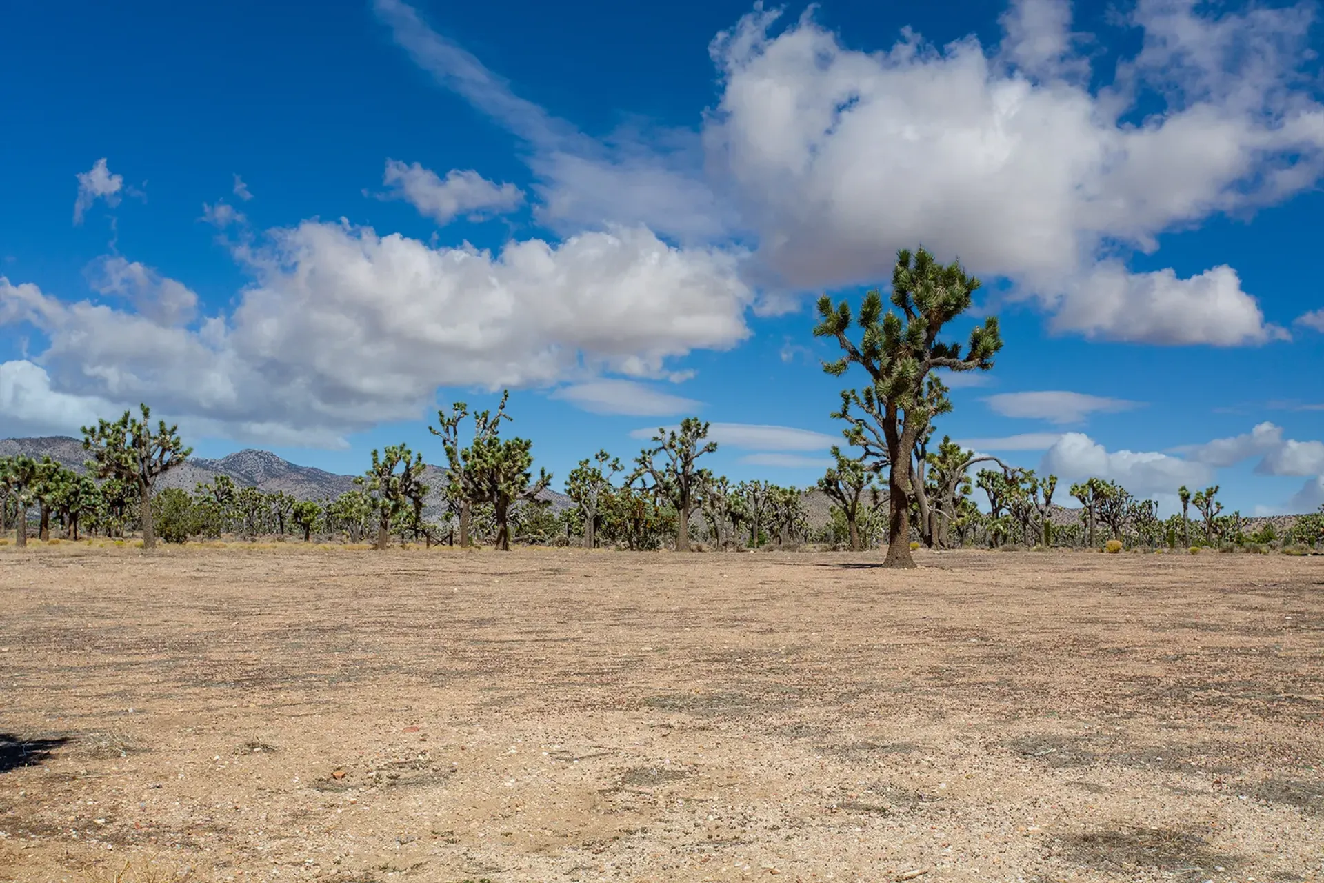 بيت في Rimrock, California 10004300