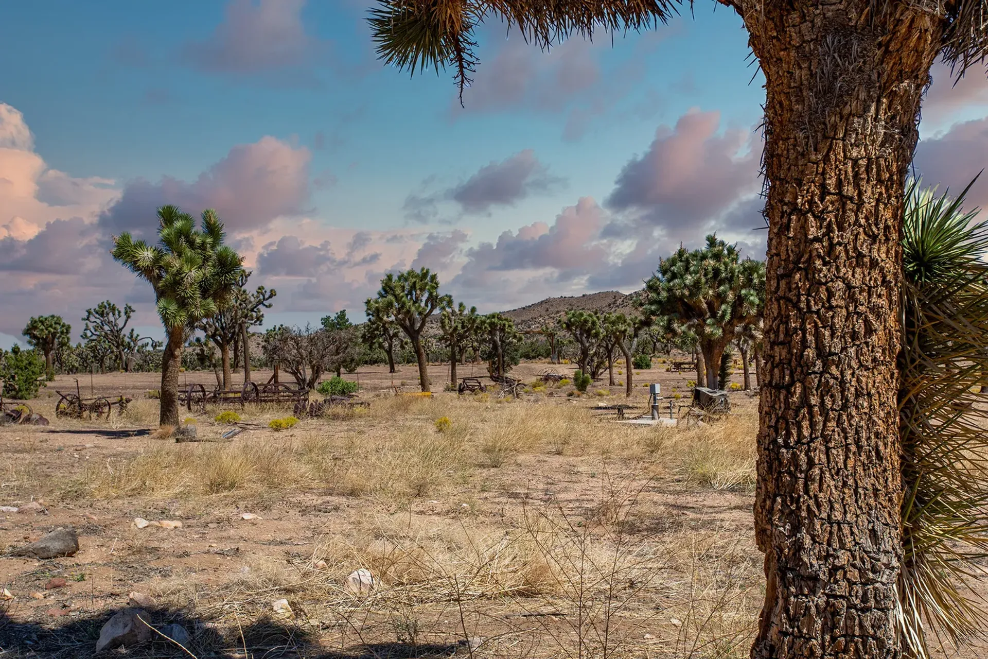 بيت في Rimrock, California 10004300