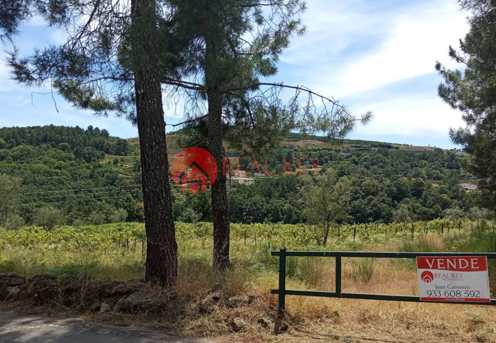 Land i Granja, Vila Real 10007845