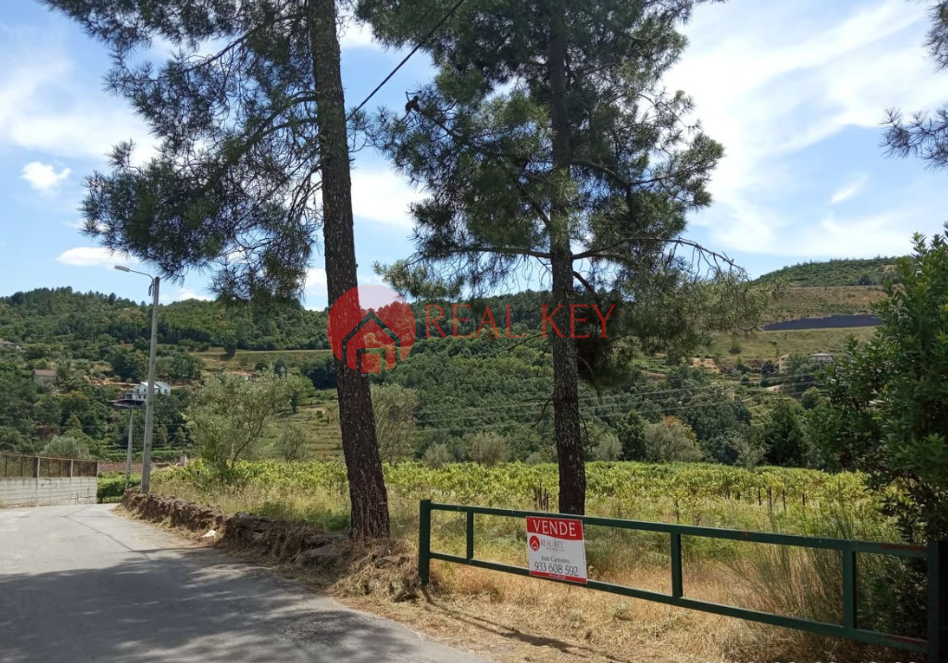 Land i Granja, Vila Real 10007845