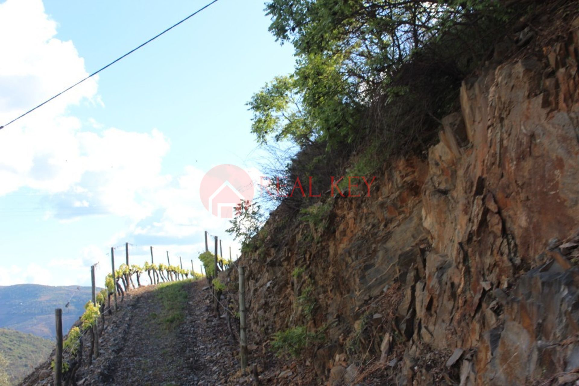 Yang lain dalam Ervedosa do Douro, Viseu 10007850