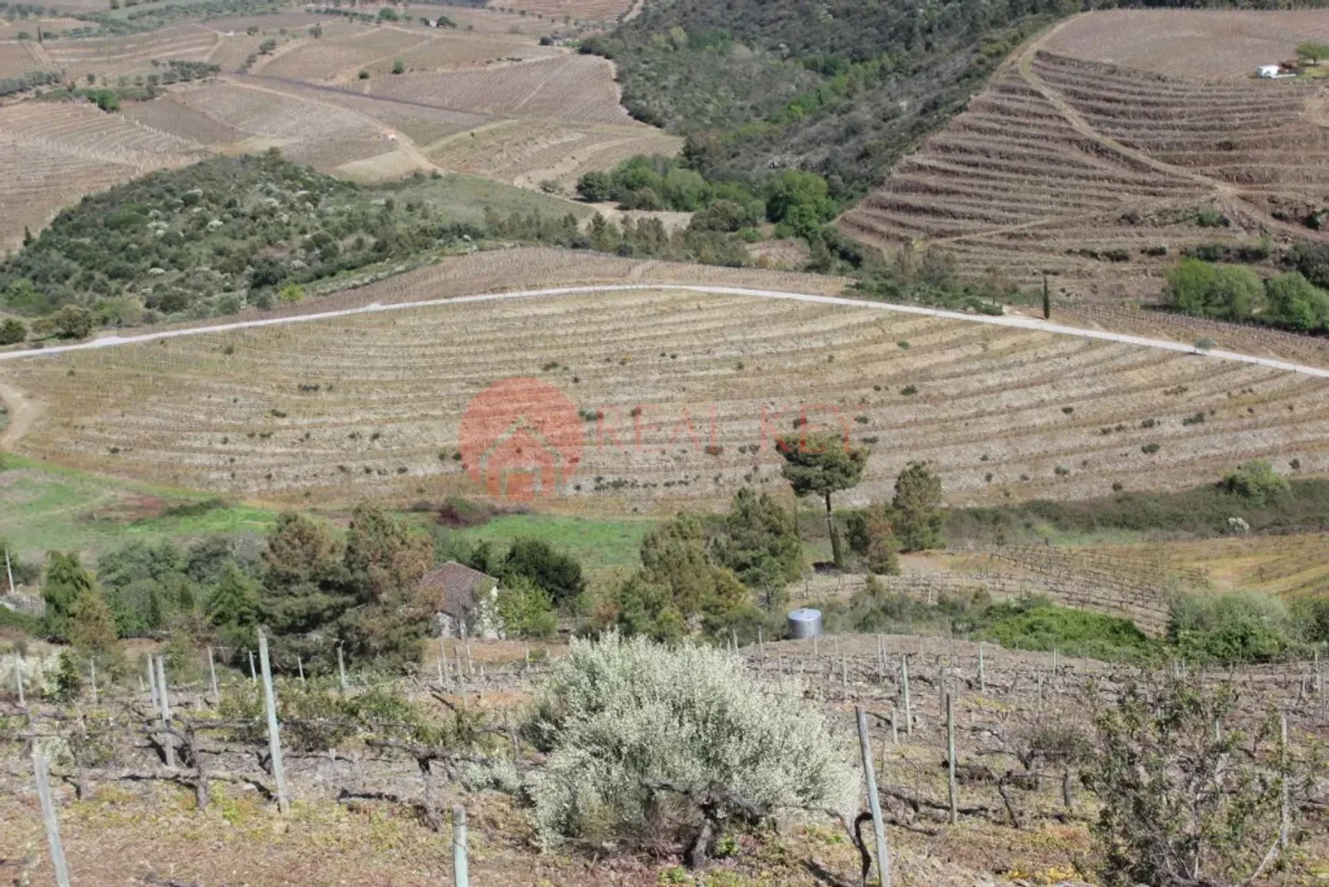 Altro nel ALIJÓ, Castedo 10007851