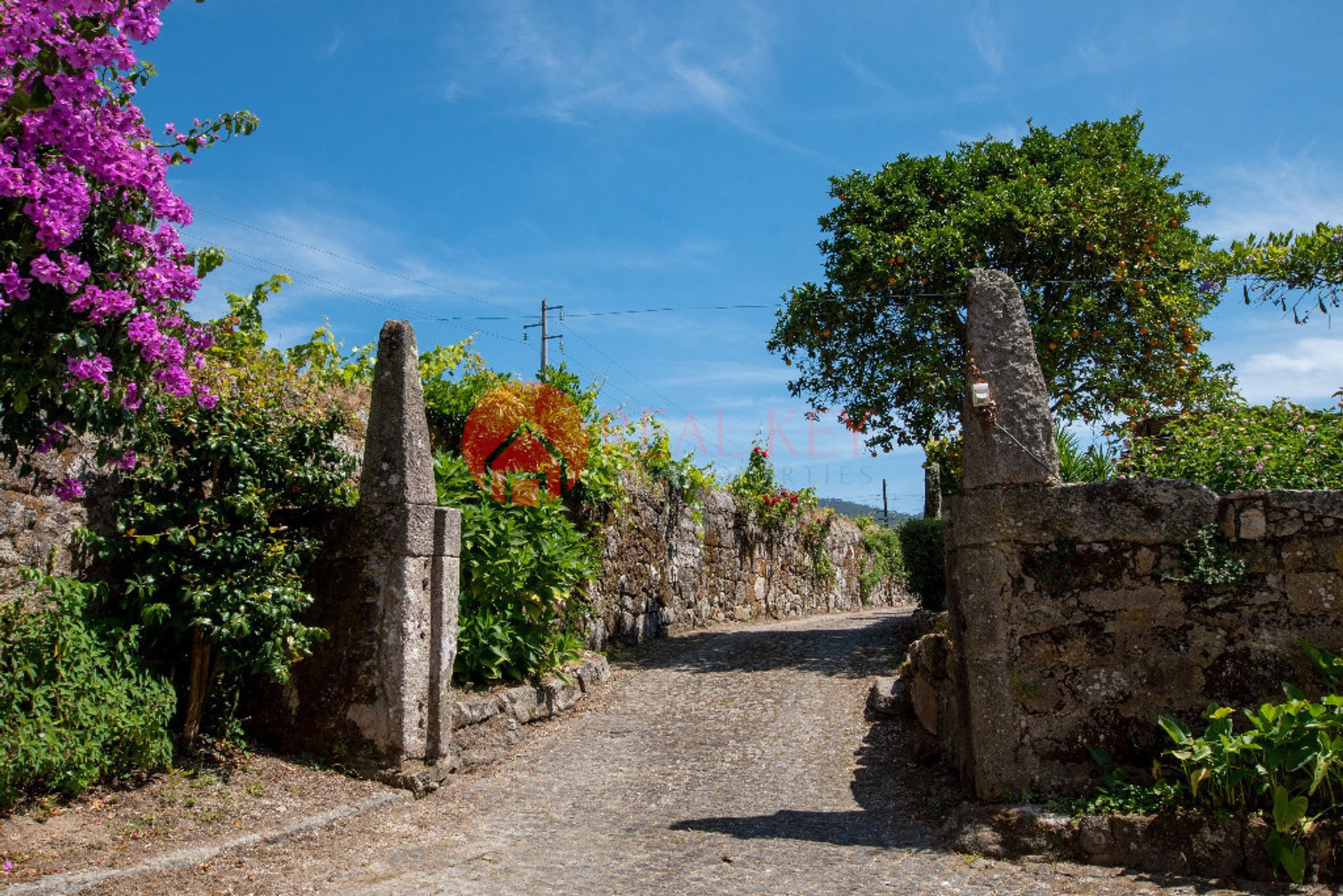 Andere im Viana do Castelo, null 10007860