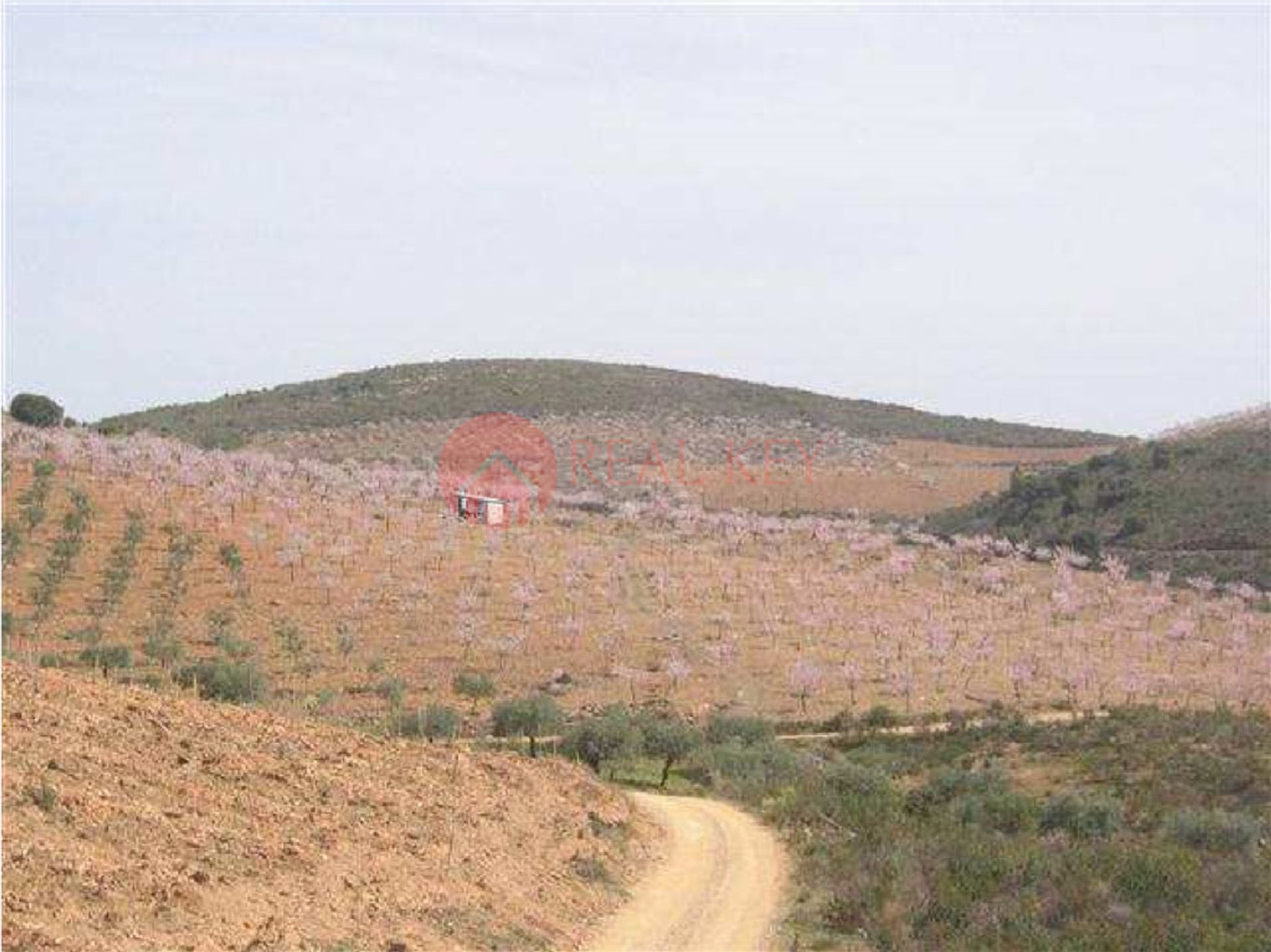 Résidentiel dans Torre de Moncorvo, Bragança 10007861