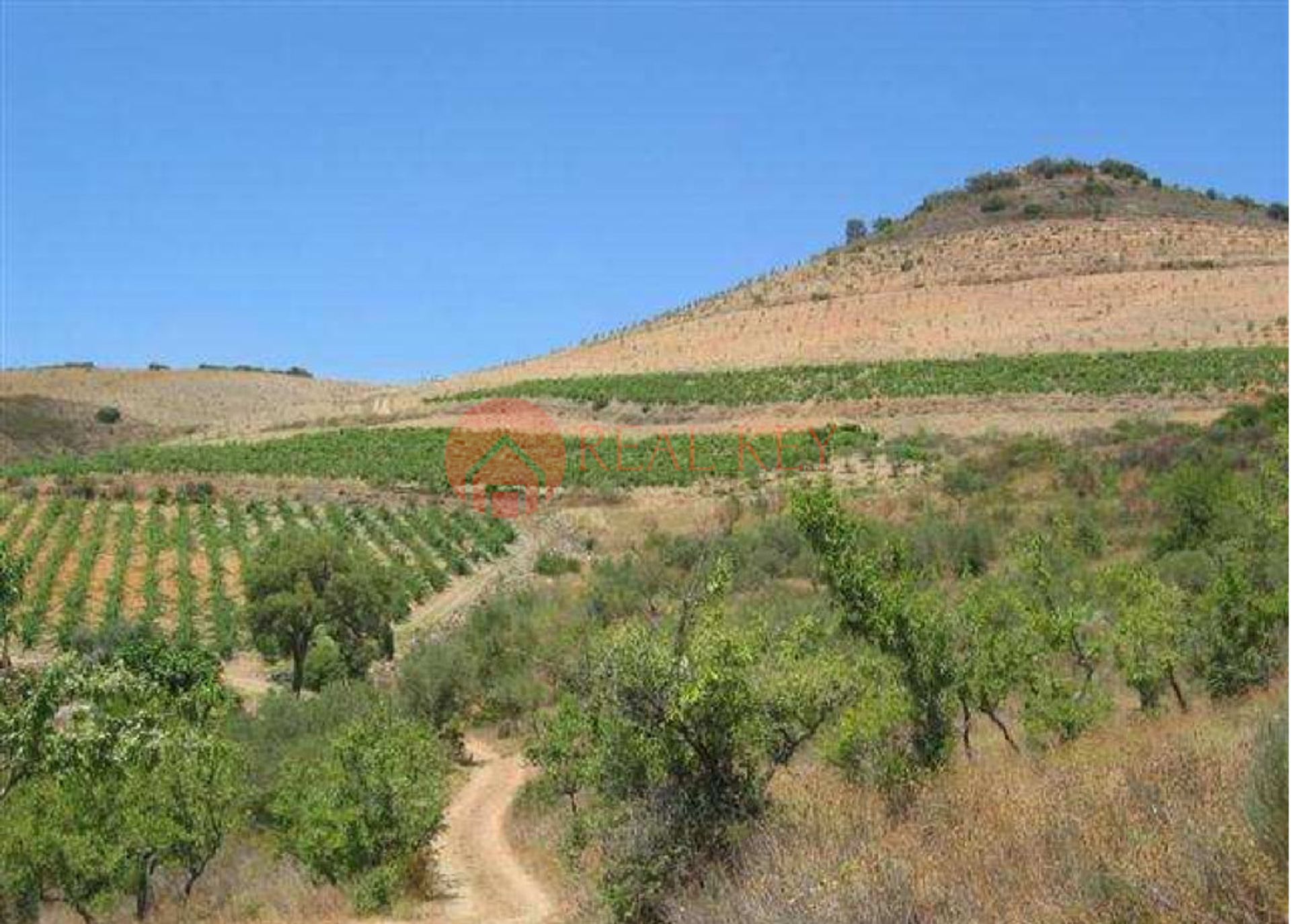 Жилой в Torre de Moncorvo, Bragança 10007861