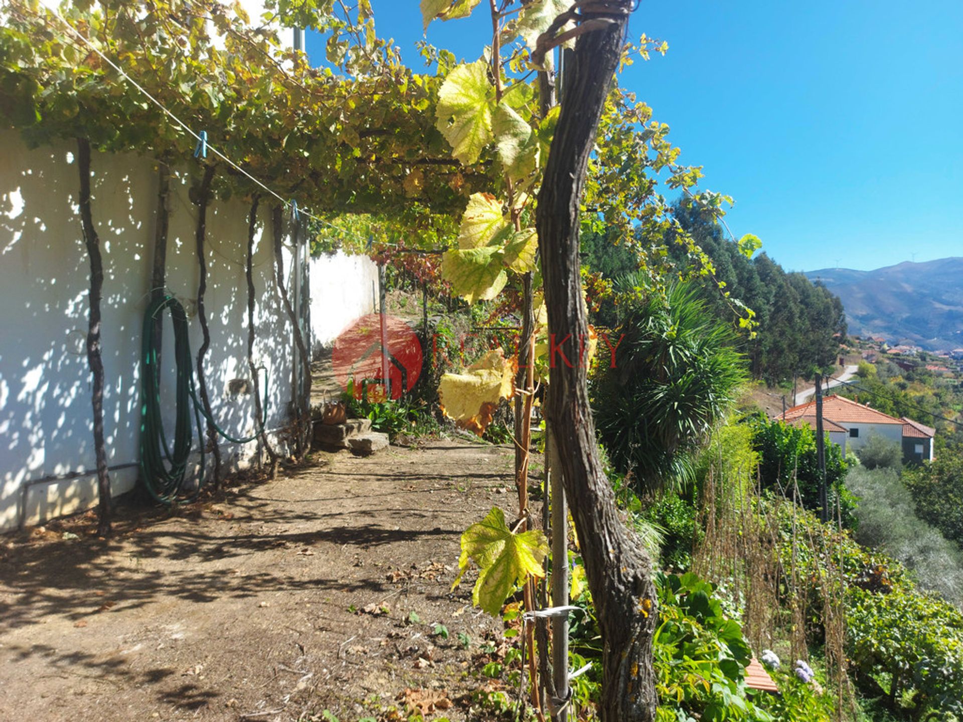 Residenziale nel Mesão Frio, Vila Real 10007879