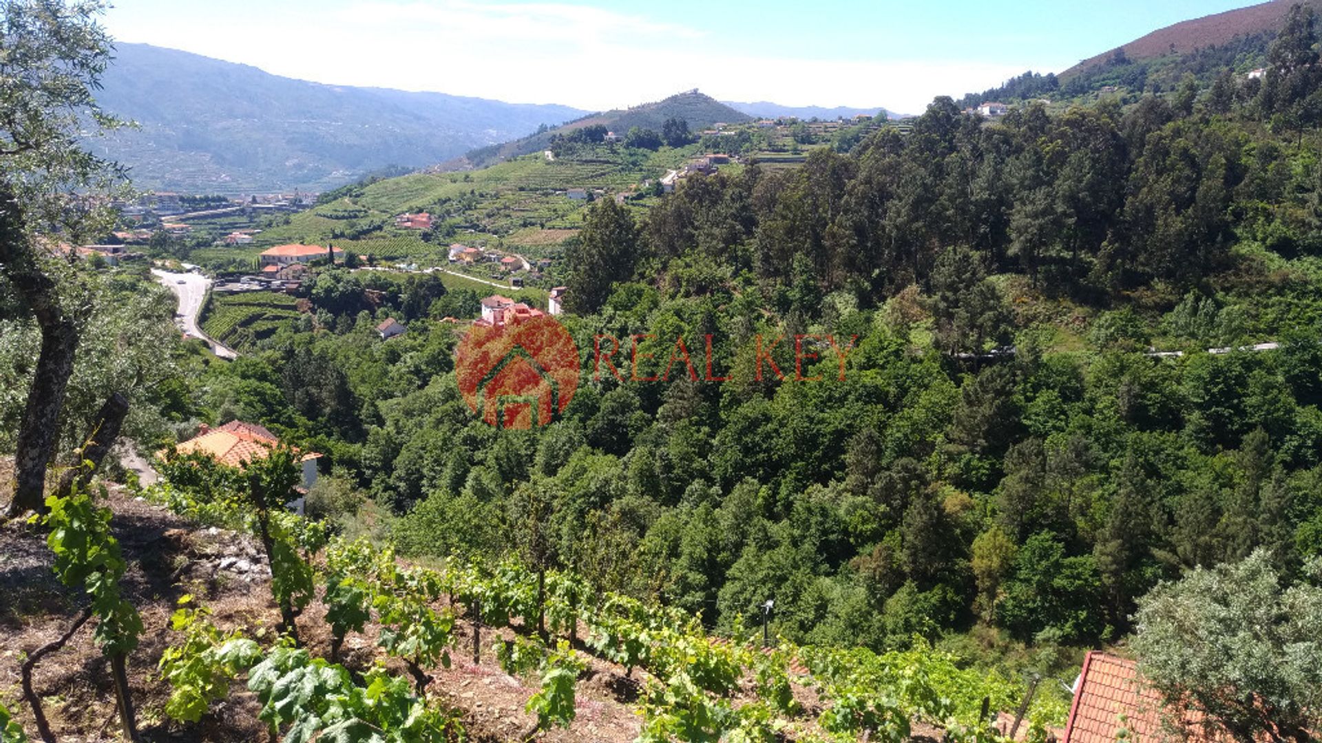 Perumahan di Mesão Frio, Vila Real 10007879