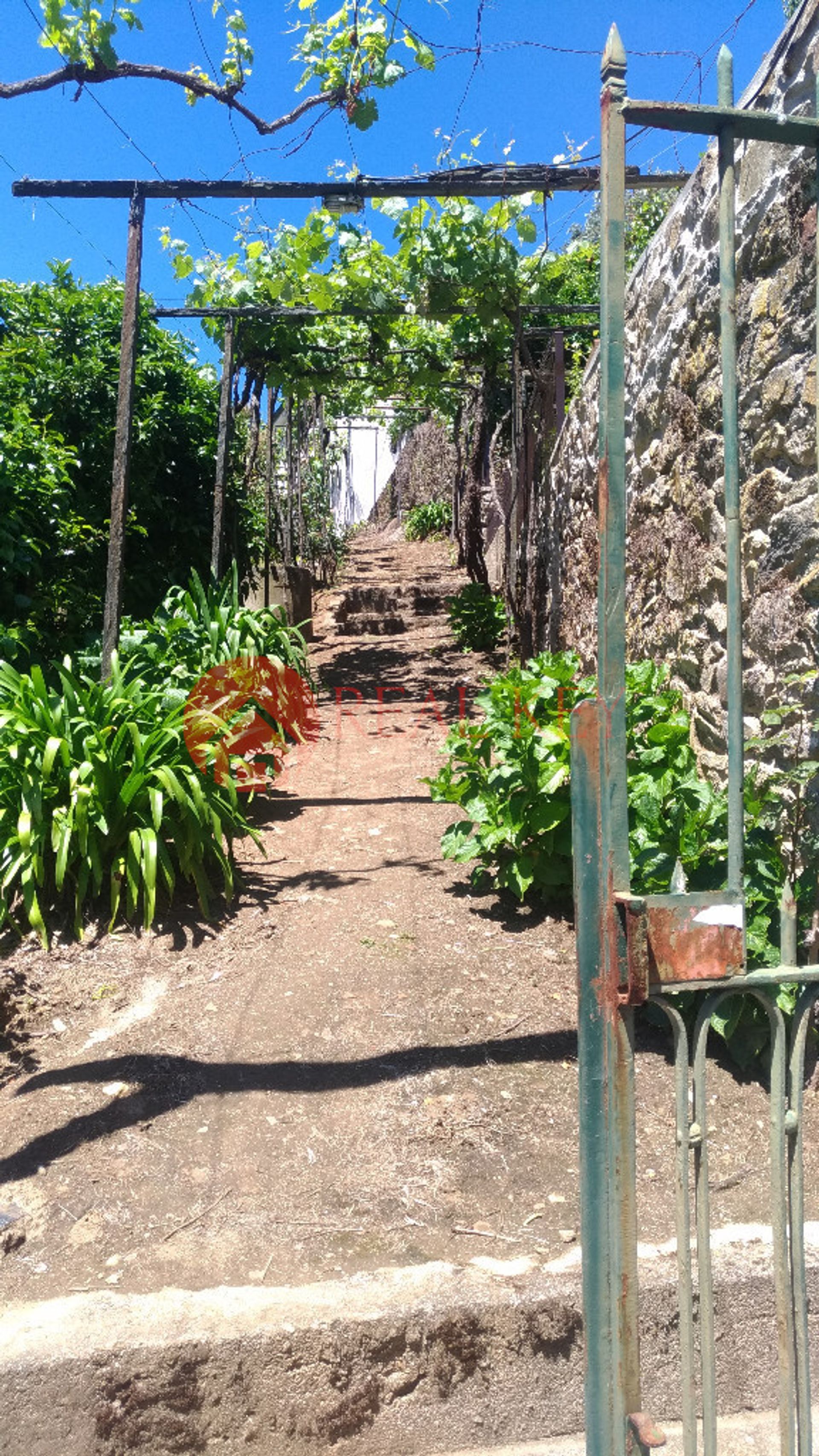 Casa nel Mesão Frio, Villa Real 10007879