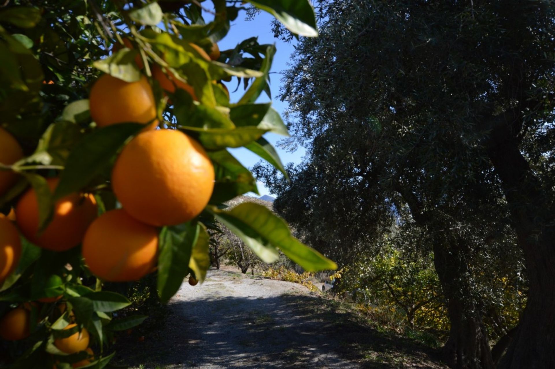 بيت في Órgiva, Andalusia 10007887