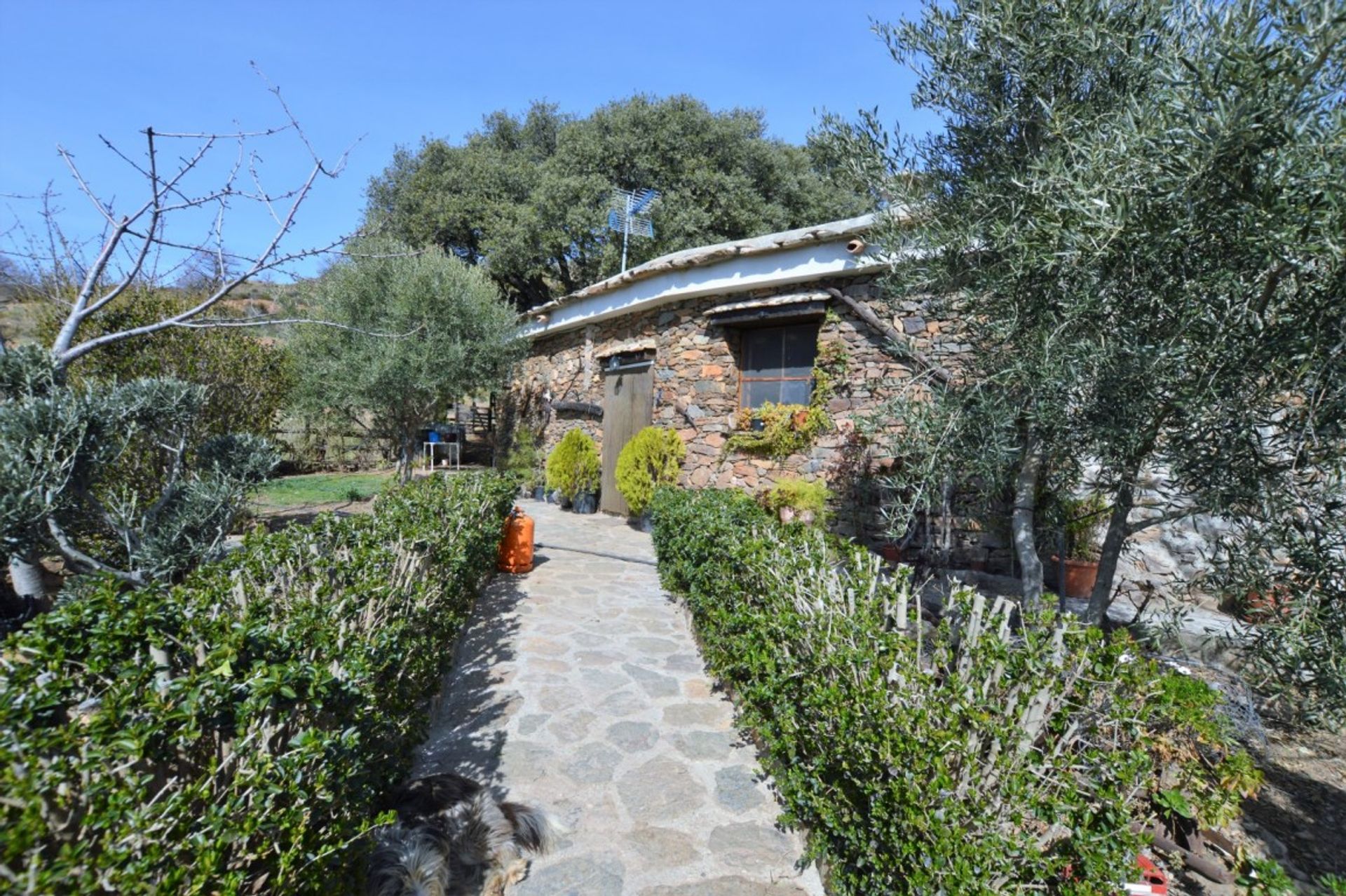 casa en Lanjaron, Andalusia 10007926