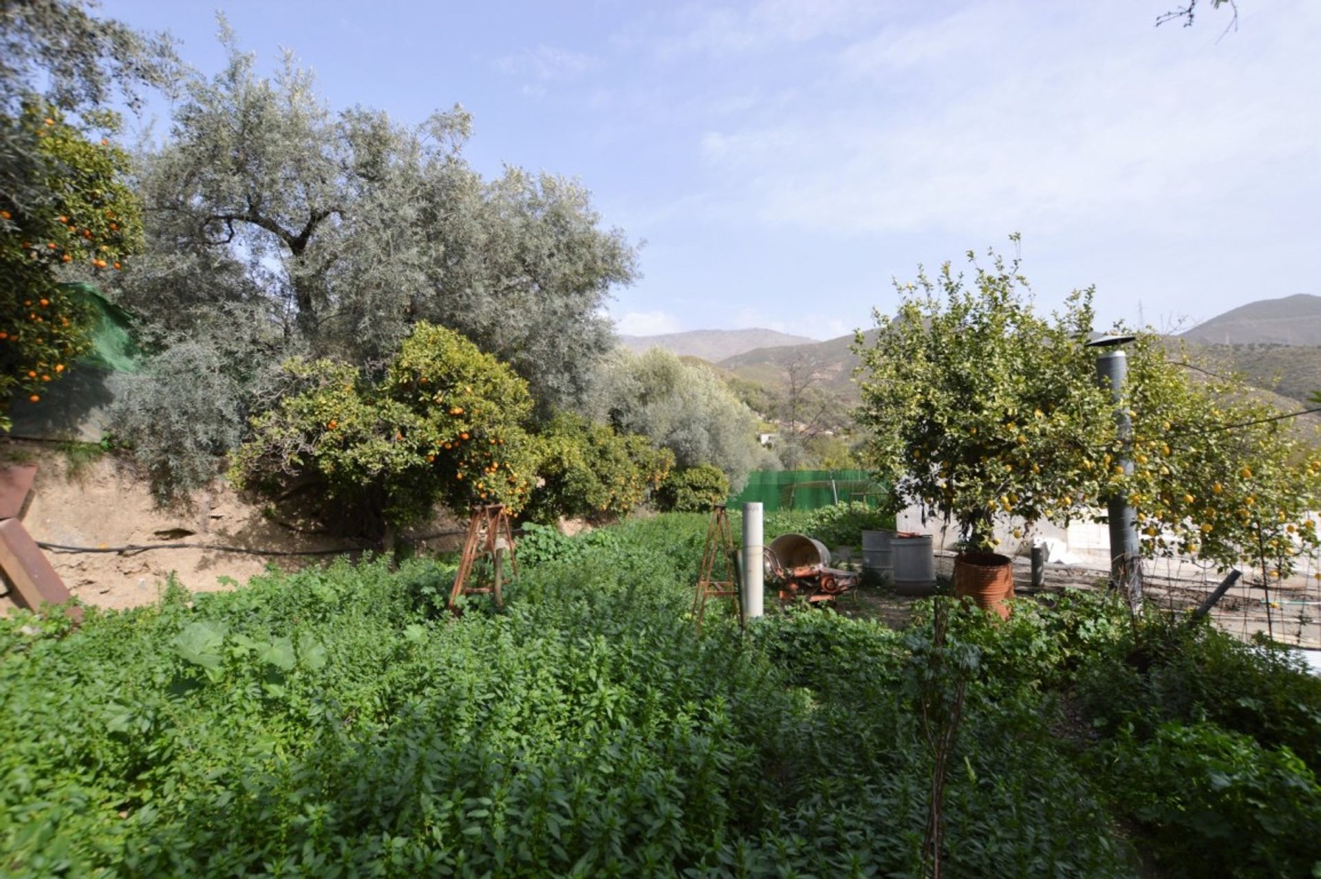 casa en Órgiva, Andalusia 10007935