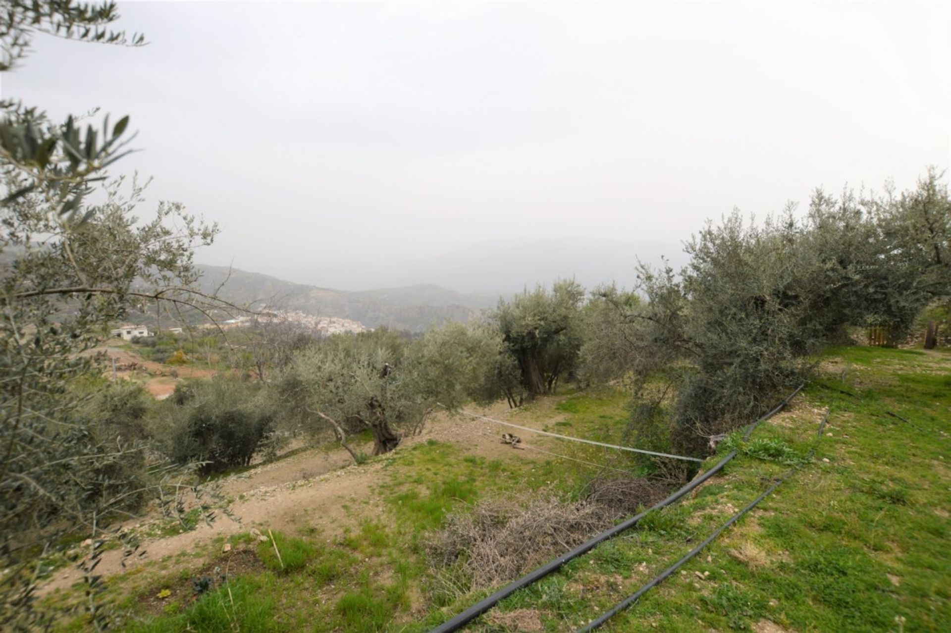 σπίτι σε Lanjarón, Andalusia 10007938