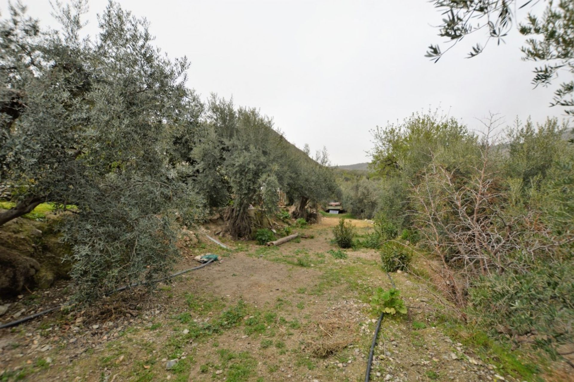 Hus i Lanjarón, Andalusia 10007938