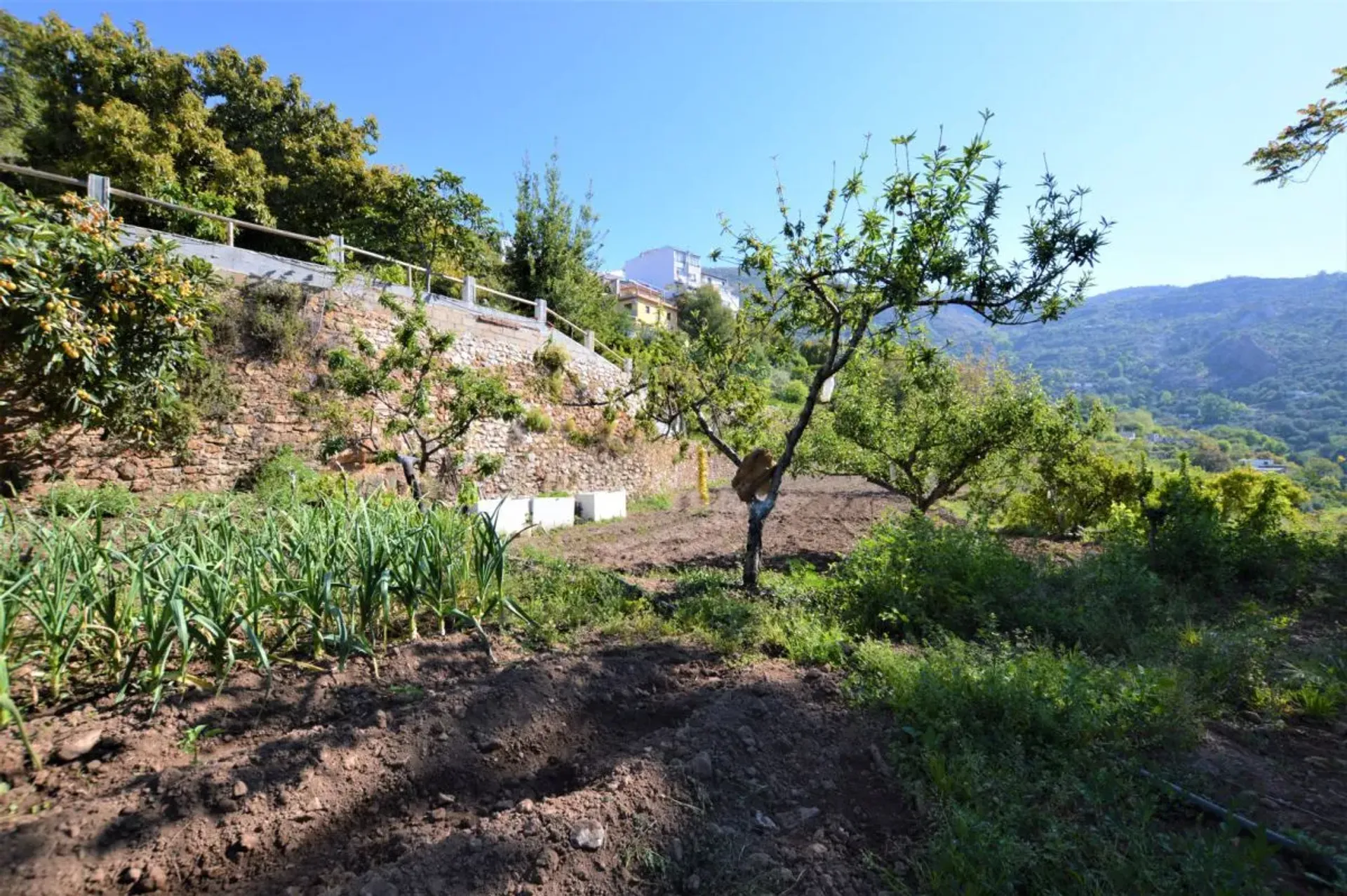 房子 在 Lanjarón, Andalusia 10007961